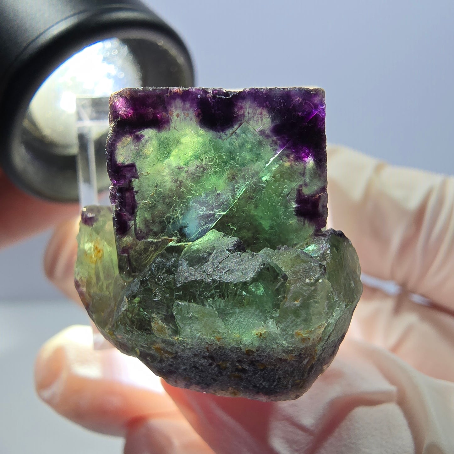 Spécimen de cube de fluorite fantôme, parqueté vert violet Okorusu, Namibie 27*25*20 mm