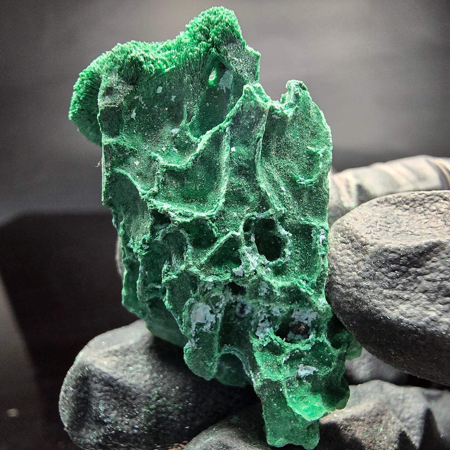 Seltene Malachit Stufe grün Kaokoveld, Namibia 37*23*16mm Mineraliensammlung