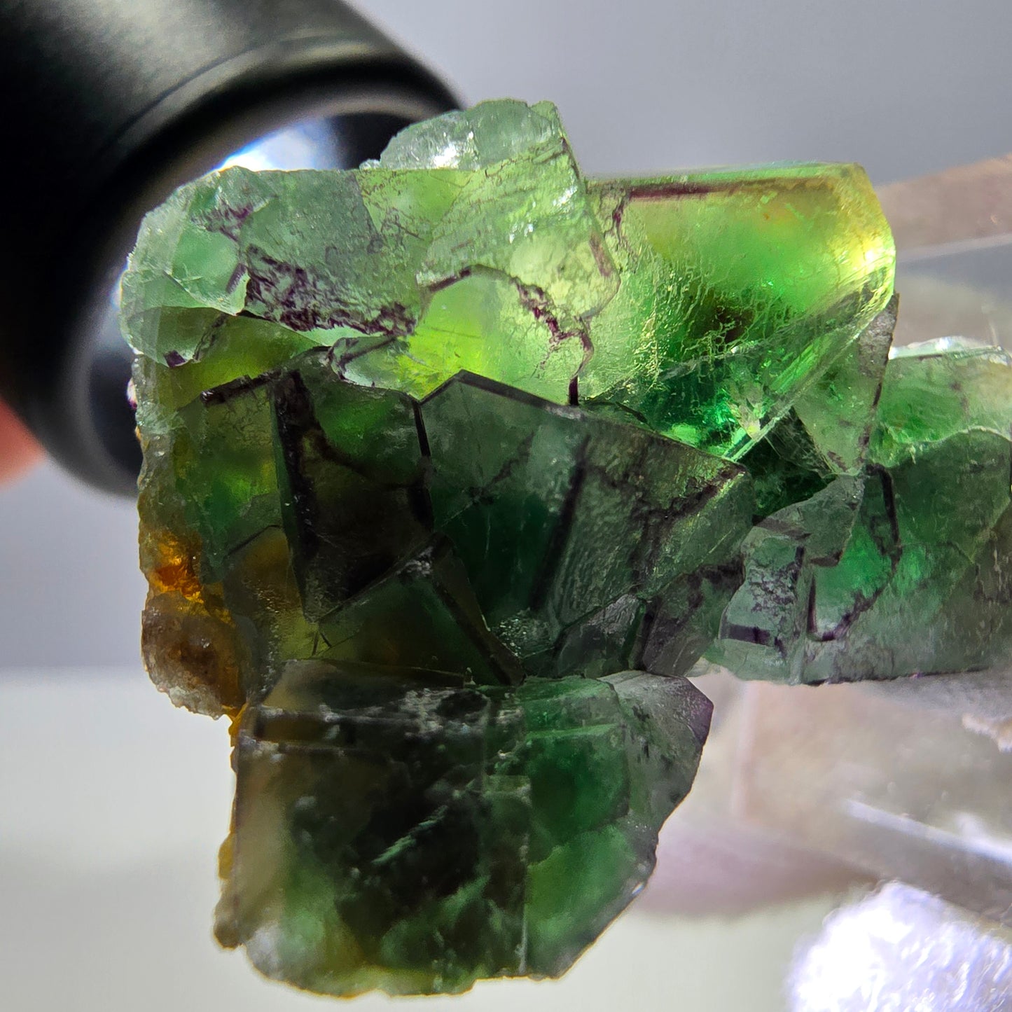 Cube de fluorite fantôme zonal, tourmaline muscovite Schörl Erongo Namibie 31 x 22 x 20 mm