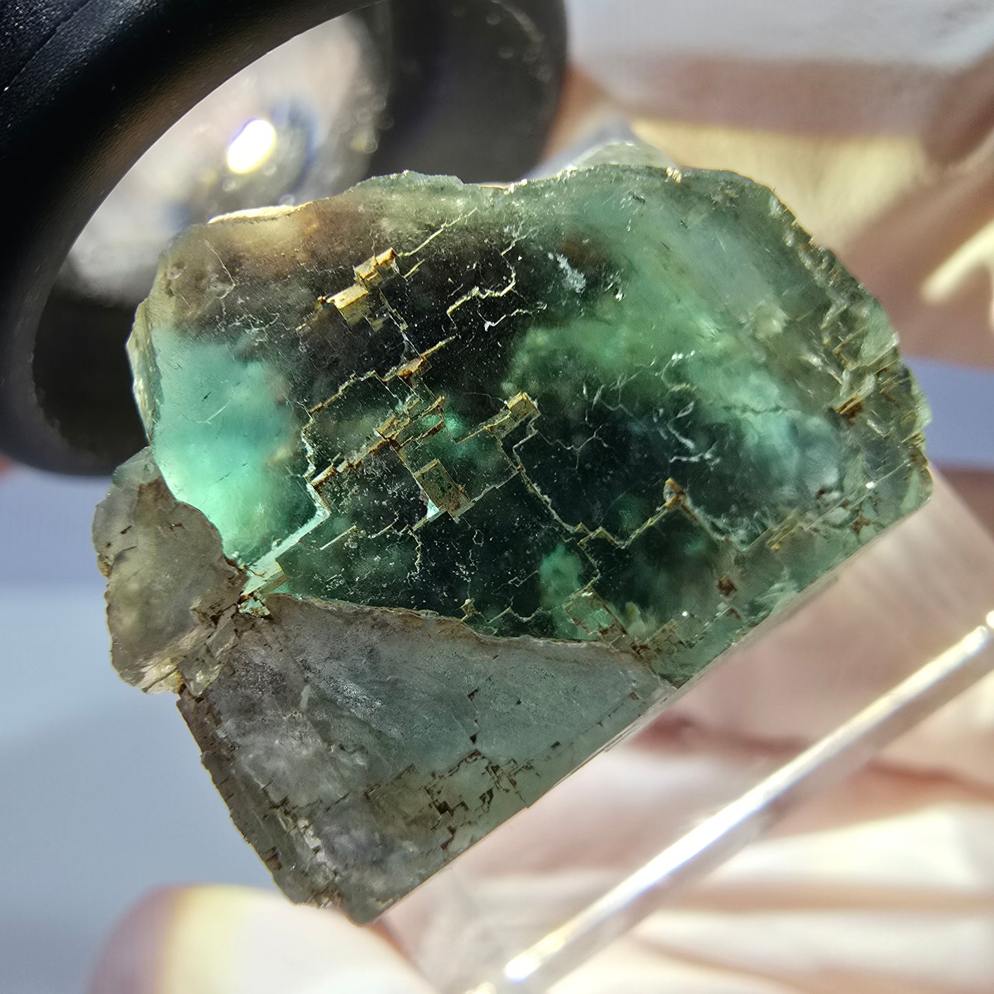 Cube de fluorite fantôme transparente parquetée, vert Okorusu, Namibie 21 x 19 x 19 mm