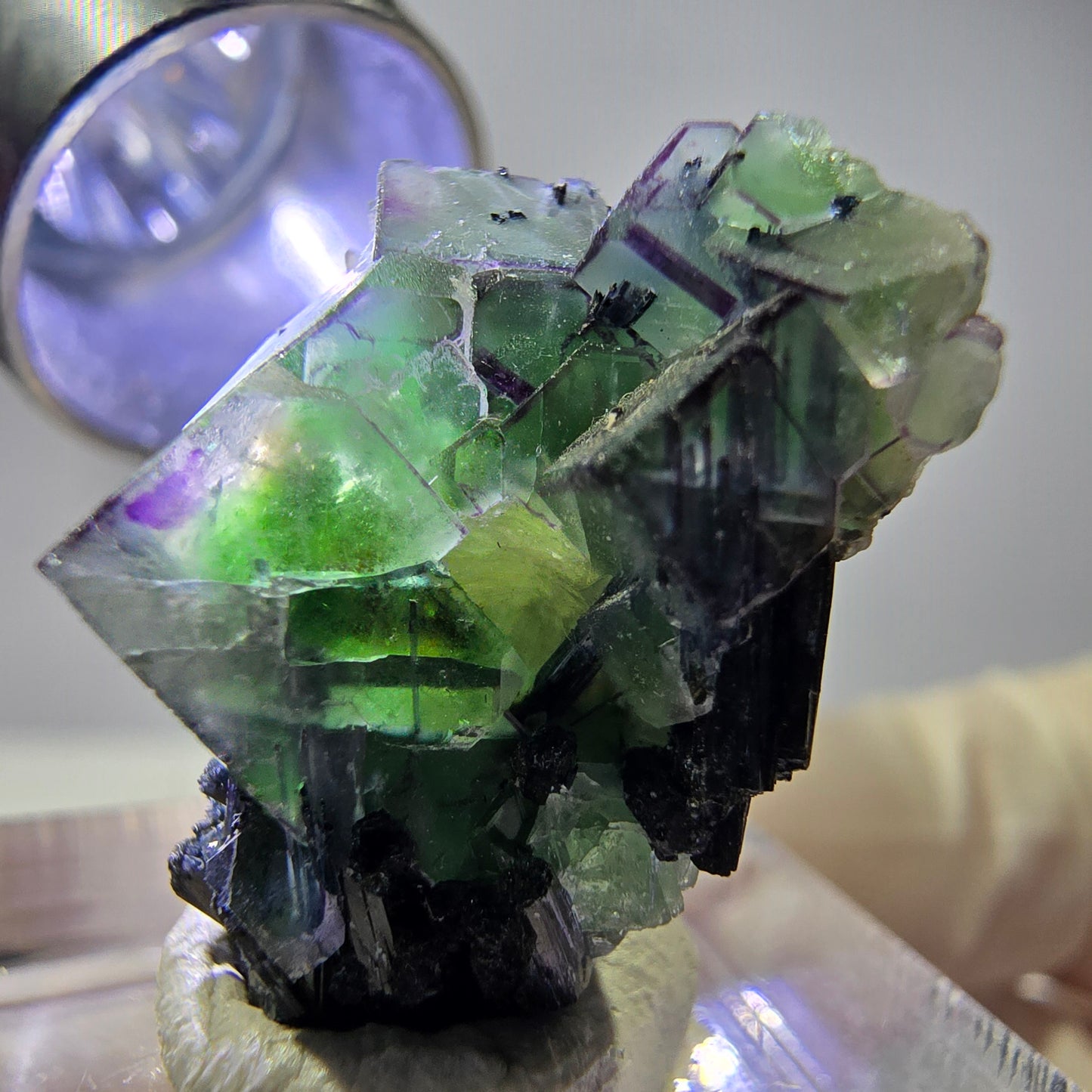 Cube de fluorite fantôme, zonal, muscovite, spécimen de tourmaline Schorl, Erongo, Namibie, 22 x 20 x 15 mm