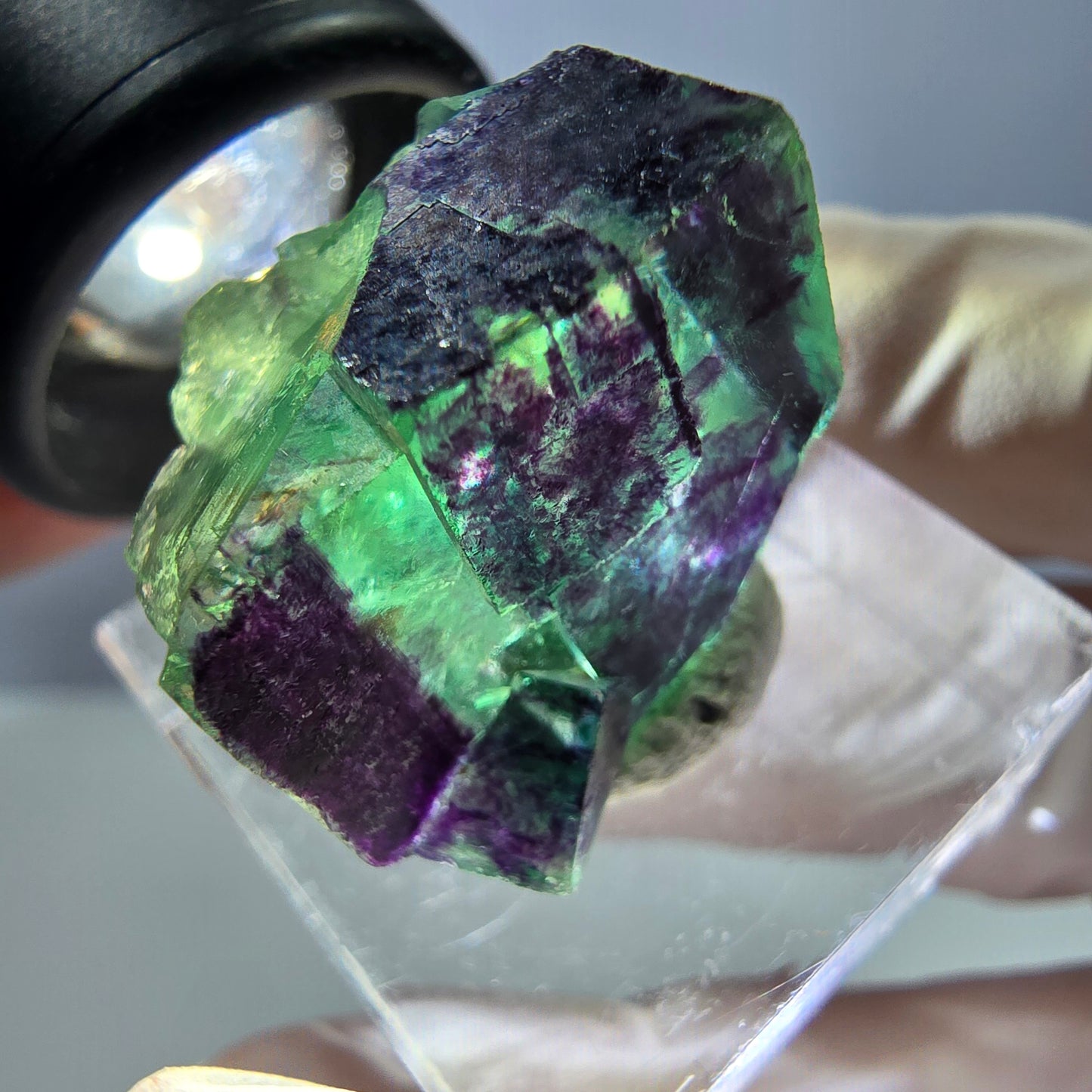 Phantom Fluorit Würfel Stufe grün lila zonal 11:11 Angel Pocket, Namibia 24*21*19mm
