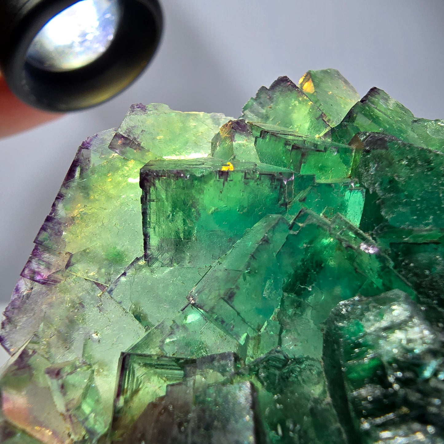 Spécimen de cube de fluorite fantôme, parqueté vert violet Okorusu, Namibie 55*41*16 mm