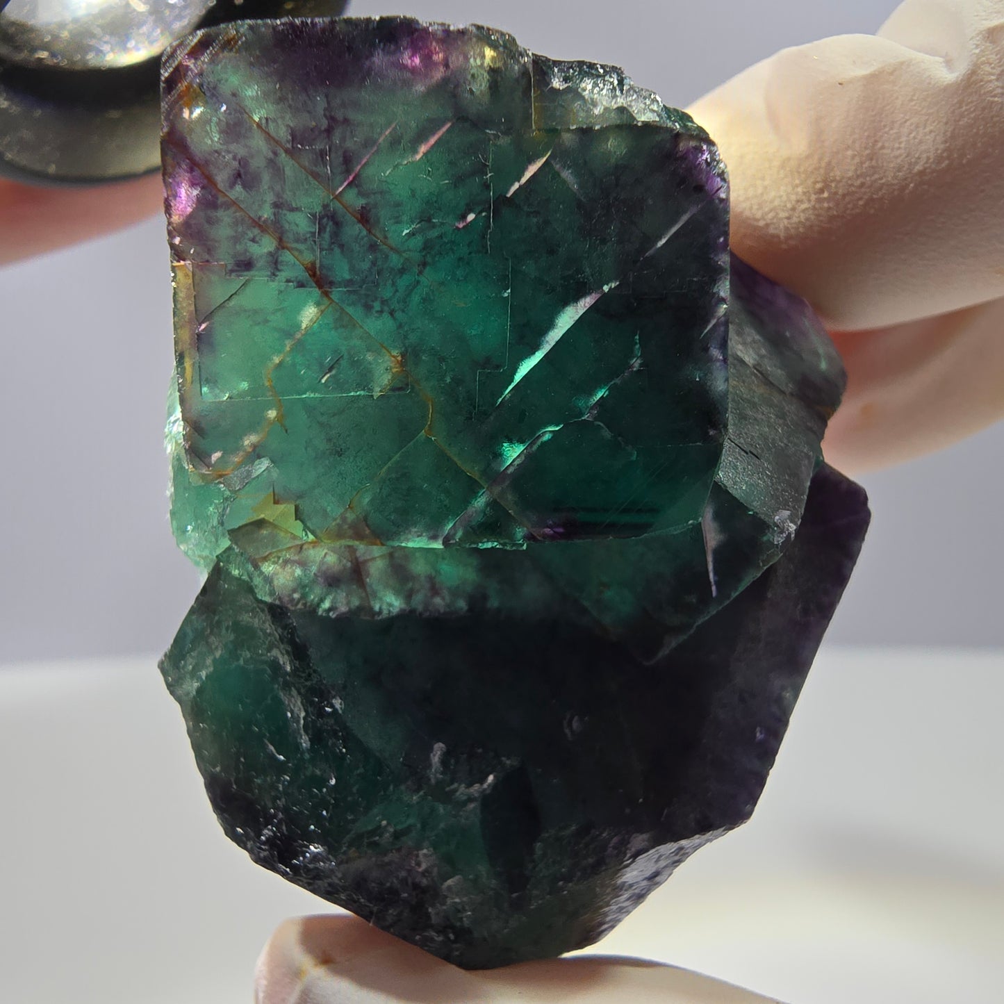 Spécimen de cube de fluorite fantôme parqueté vert violet Okorusu, Namibie 51*41*28 mm