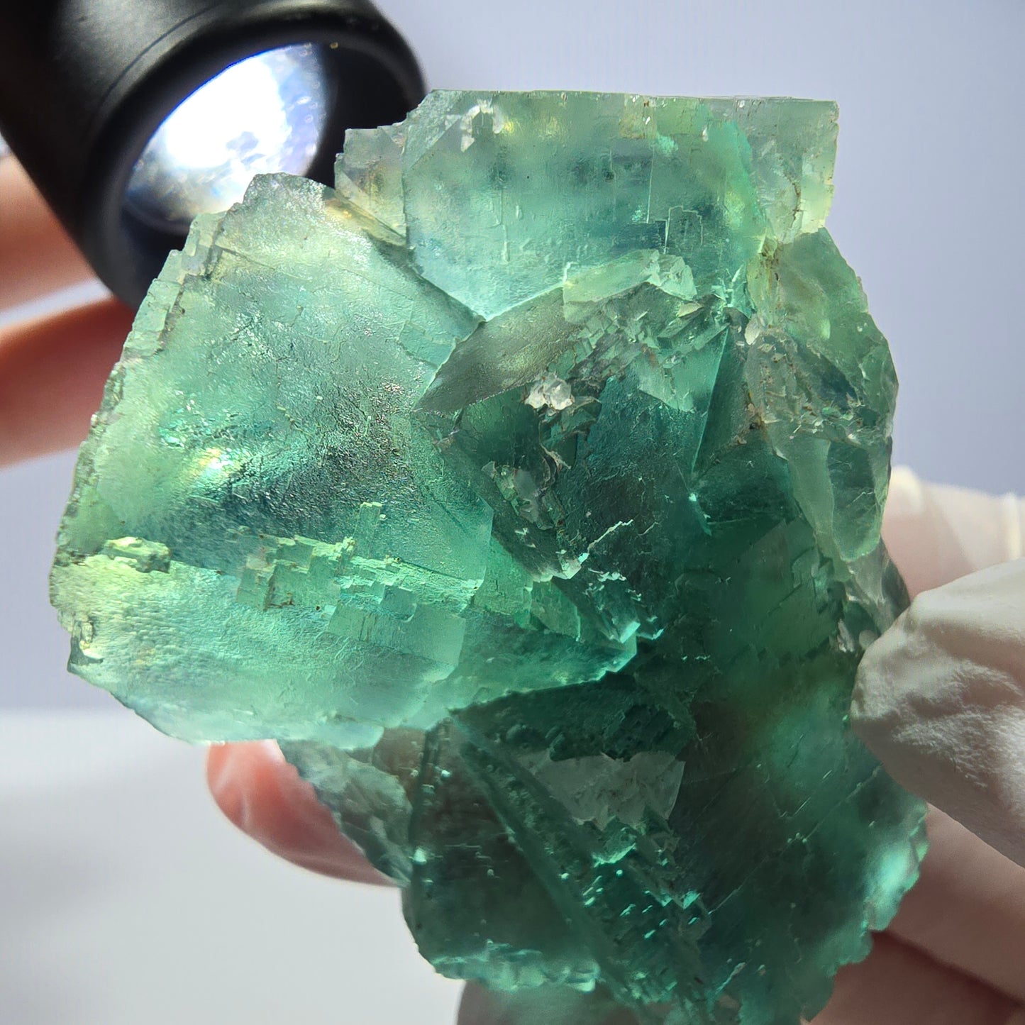 Spécimen de cube de fluorite fantôme transparente, vert parqueté, Okorusu, Namibie, 60 x 45 x 24 mm