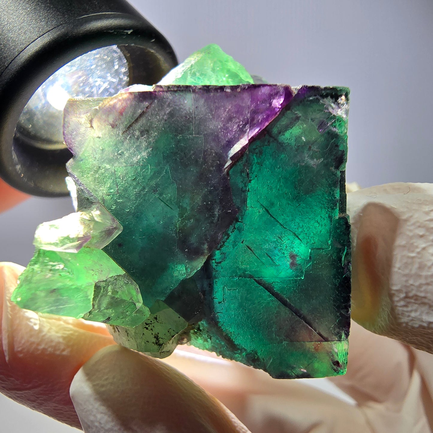 Spécimen de cube de fluorite fantôme, parqueté vert violet Okorusu, Namibie 40*32*25 mm