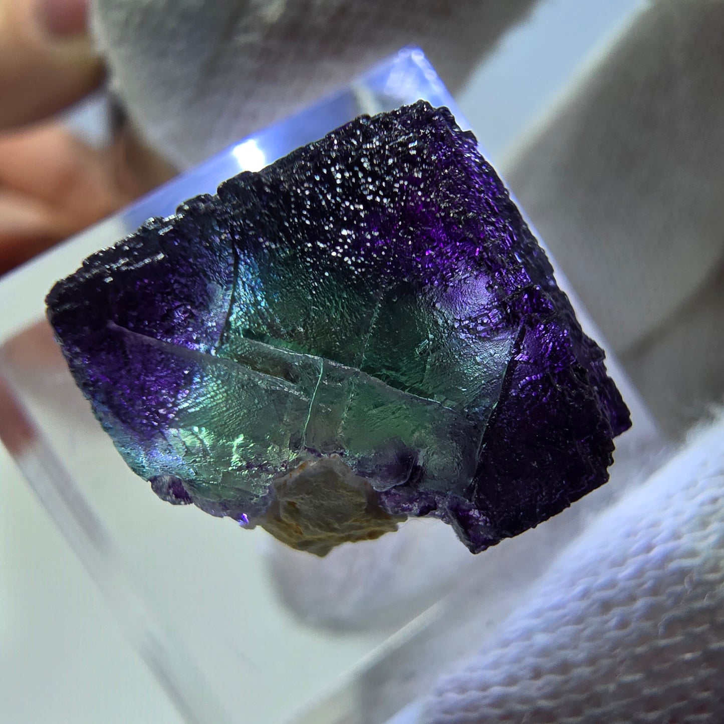 Spécimen de cube de fluorite fantôme parqueté zonal Okorusu, Namibie 16*16*14mm