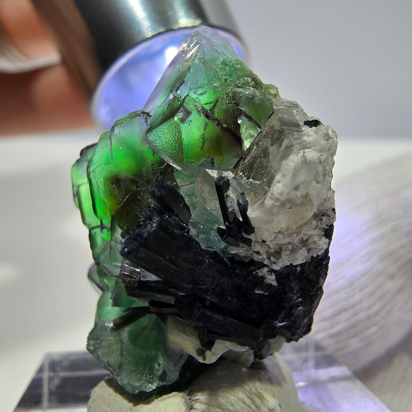 Fluorite fantôme zonale, muscovite, tourmaline Schörl, quartz fumé Erongo, Namibie 31*18*13mm