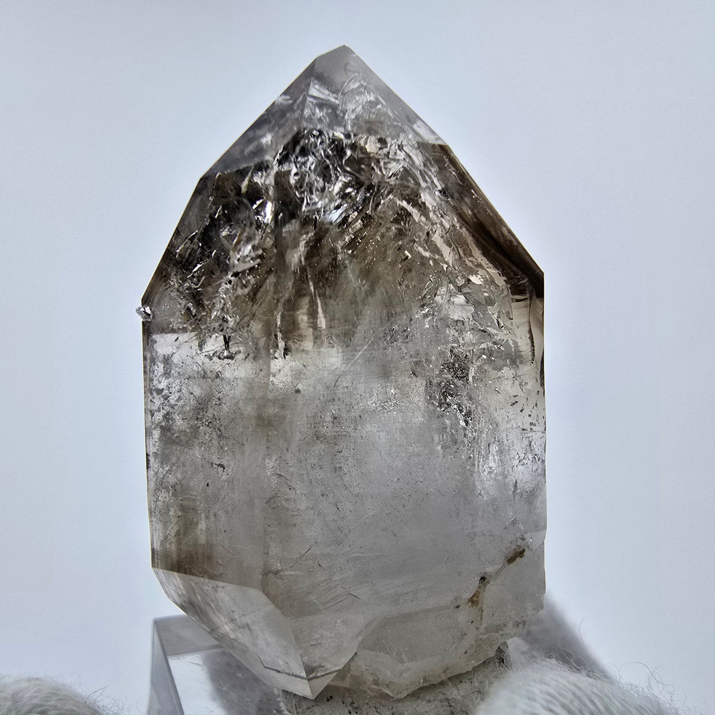 Enhydro Phantom Rauchquarz Zepter, 2x Blase Goboboseb, Namibia 43*27*21mm