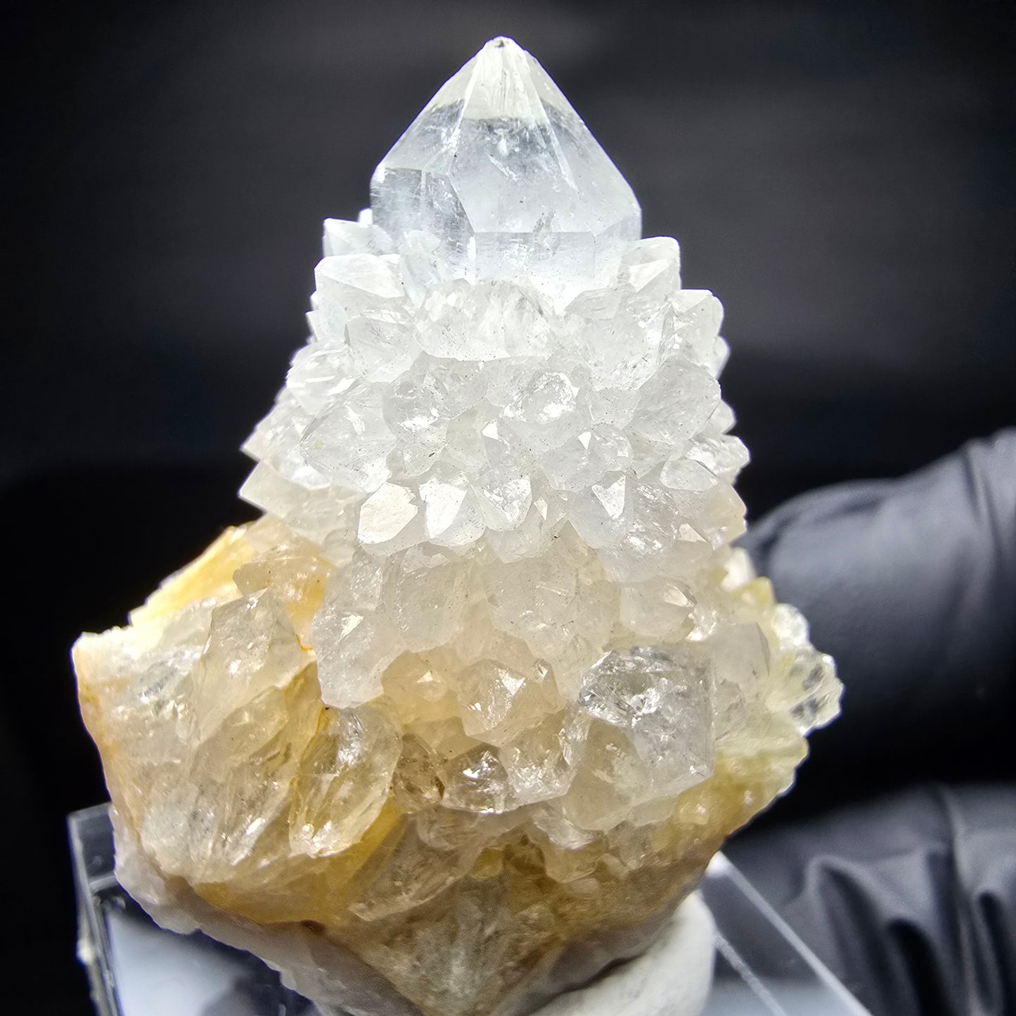 Kaktusquarz, Spirit Quarz XX Stufe Boekenhouthoek, Südafrika 35*29*25mm Sammlung