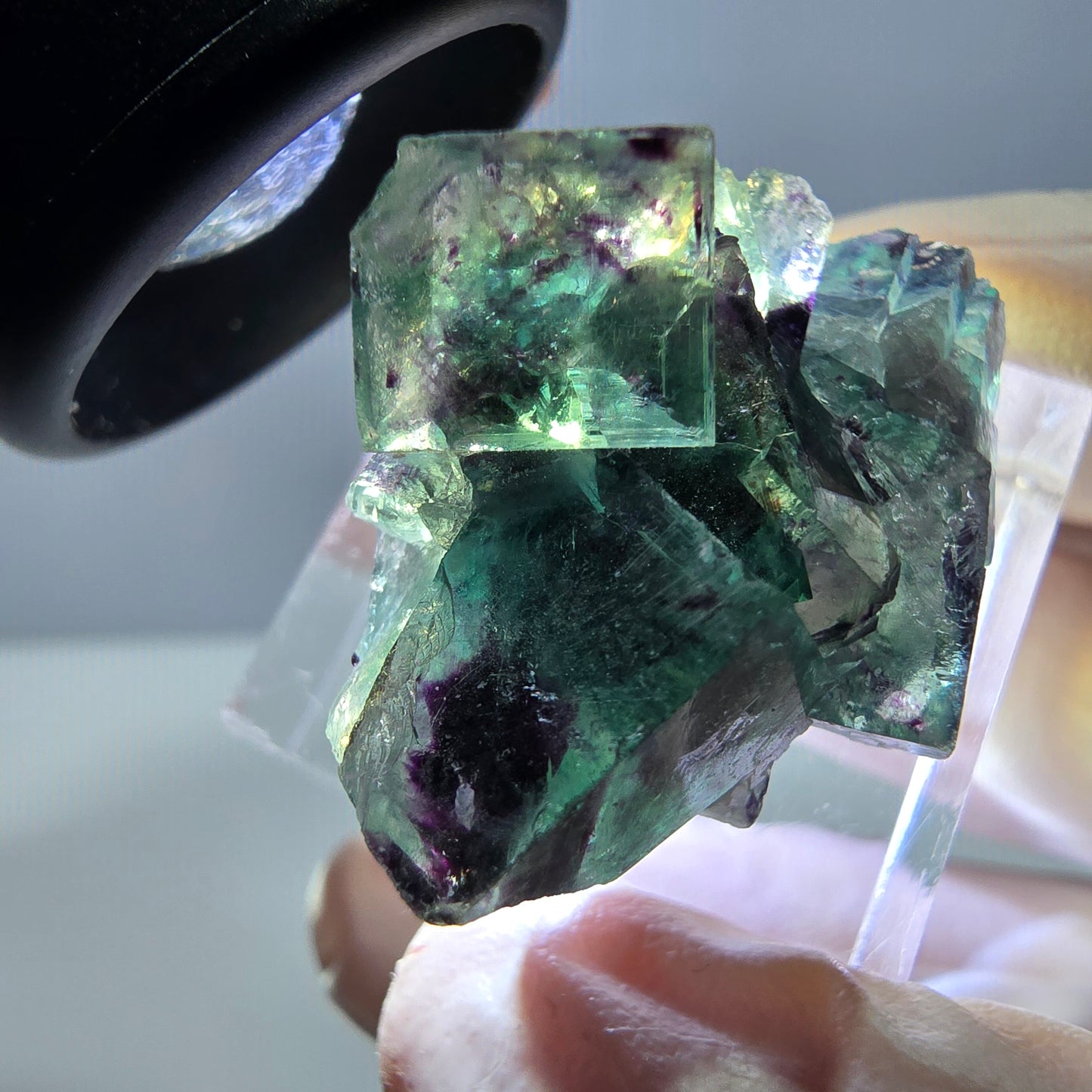 Phantom Fluorit Würfel Stufe, parkettiert grün lila Okorusu, Namibia 31*25*14mm
