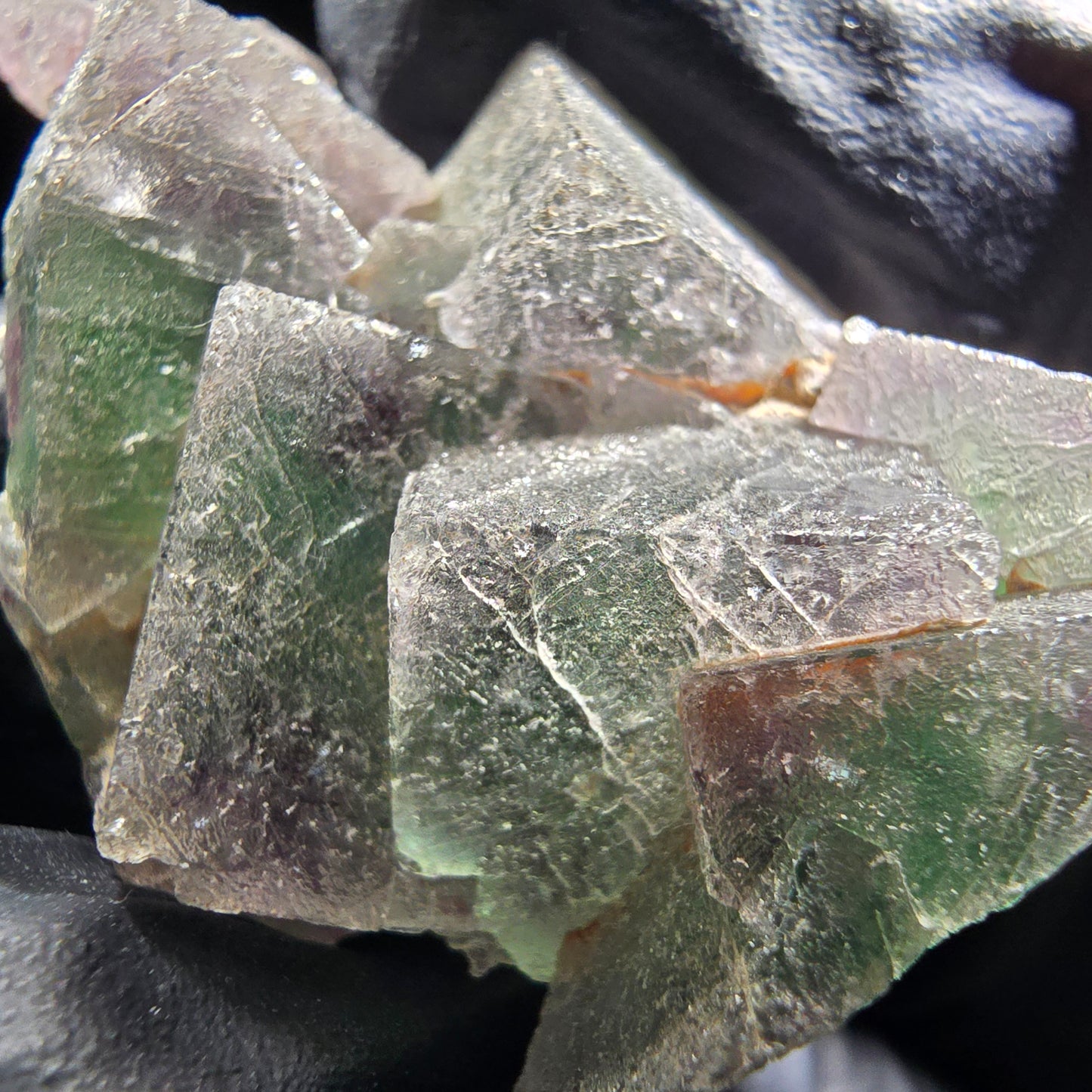 Phantom Fluorite Cube Tier Vert Violet Okorusu, Namibie 46*29*12mm Collection