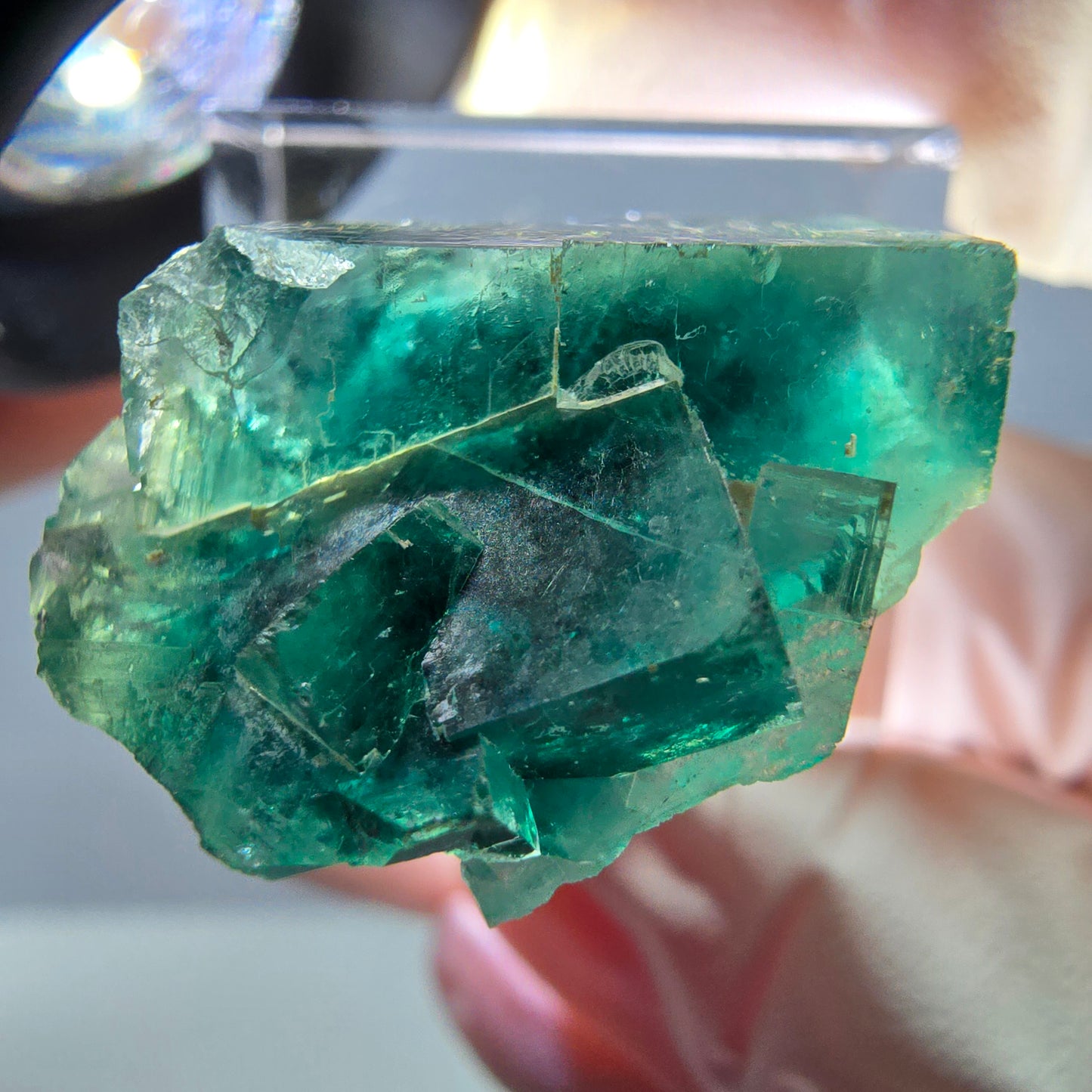 Phantom Fluorit Würfel Stufe, grün parkettiert Okorusu, Namibia 27*23*16mm