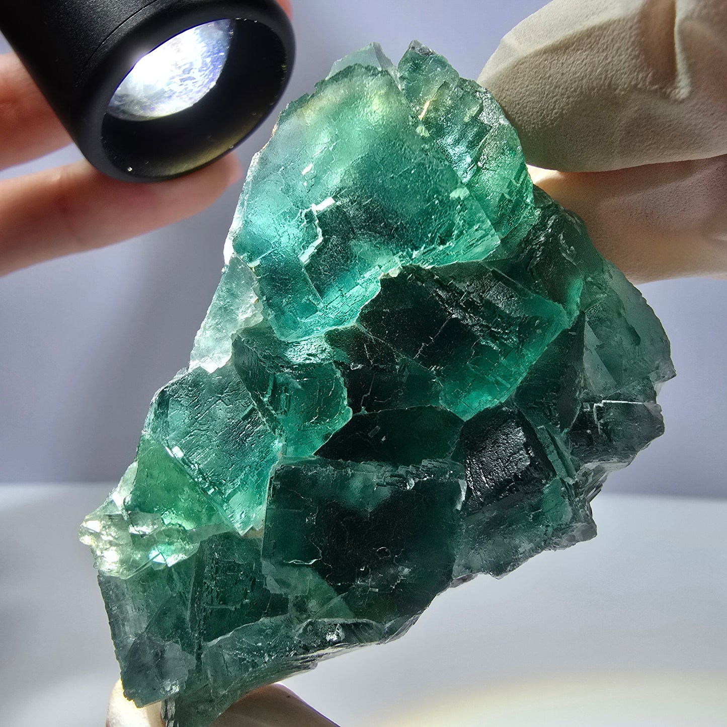 Rare spécimen de cube de fluorite fantôme, parqueté vert Okorusu, Namibie, 61 x 48 x 24 mm