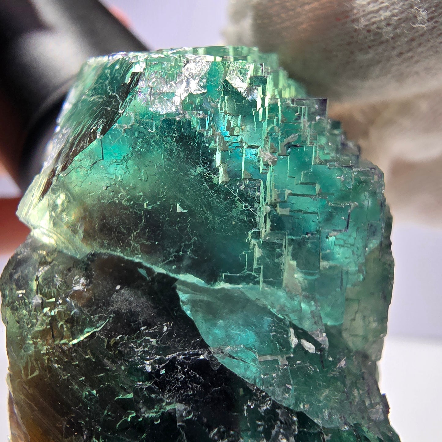 Rare spécimen de cube de fluorite fantôme, parqueté vert Okorusu, Namibie, 78 x 47 x 35 mm