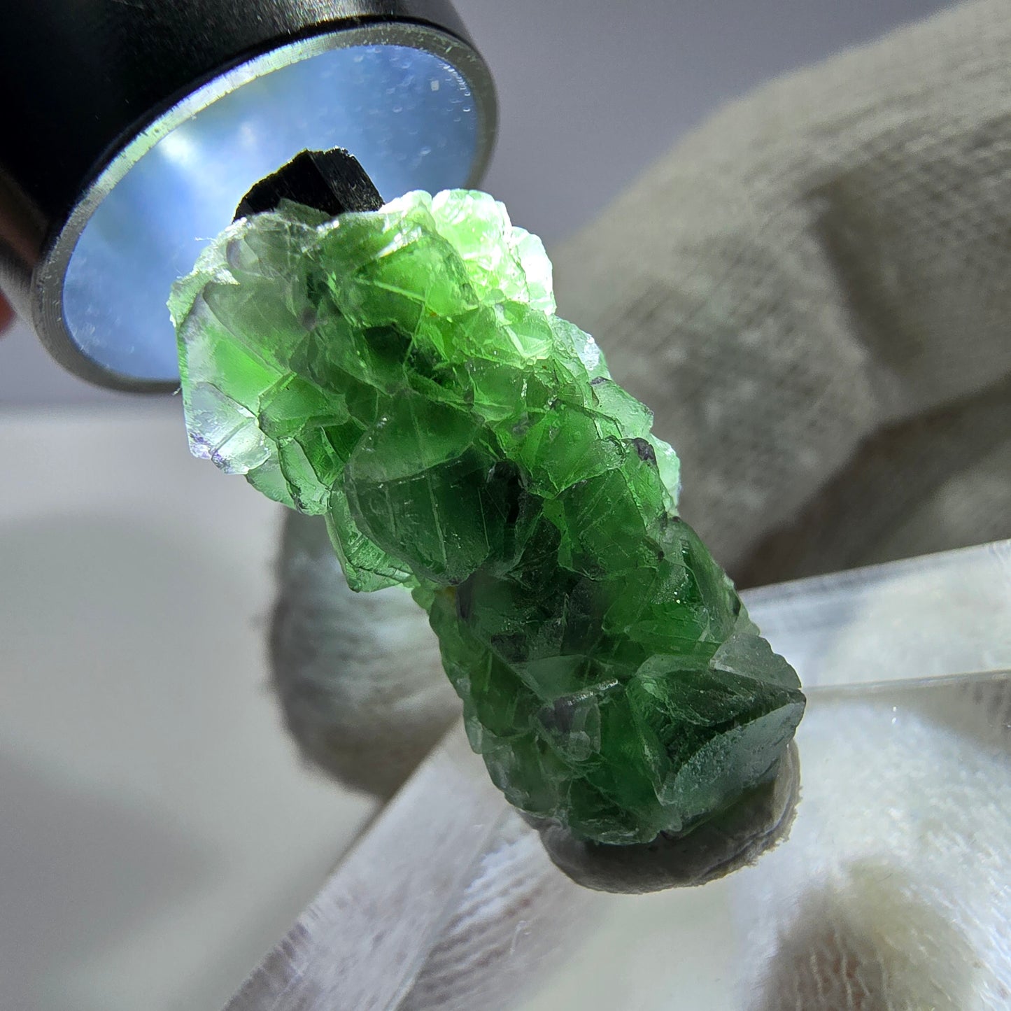 Cube de fluorite fantôme zonal, spécimen de tourmaline Schorl, Erongo, Namibie, 25 x 12 x 12 mm