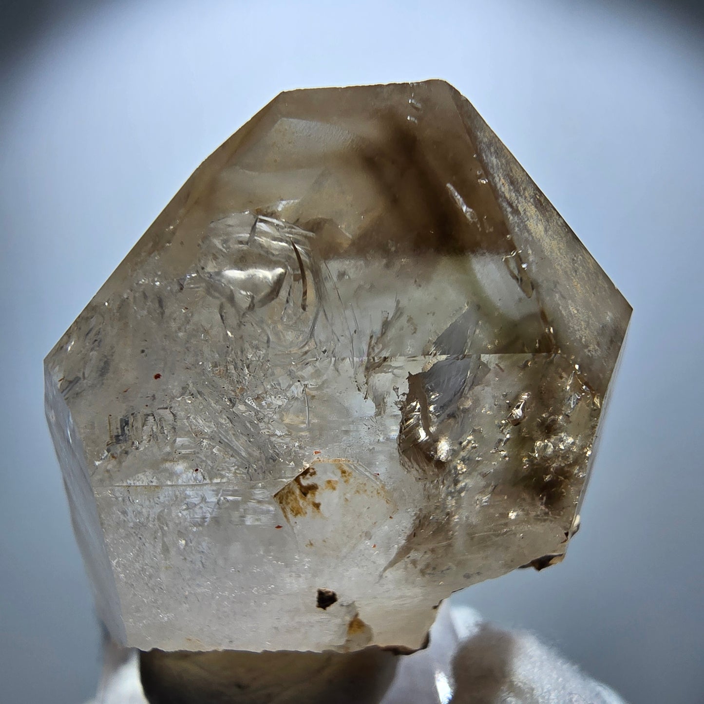 Enhydro Phantom Rauchquarz Skelett Zepter, 1x Blase Goboboseb Namibia 45*37*20mm