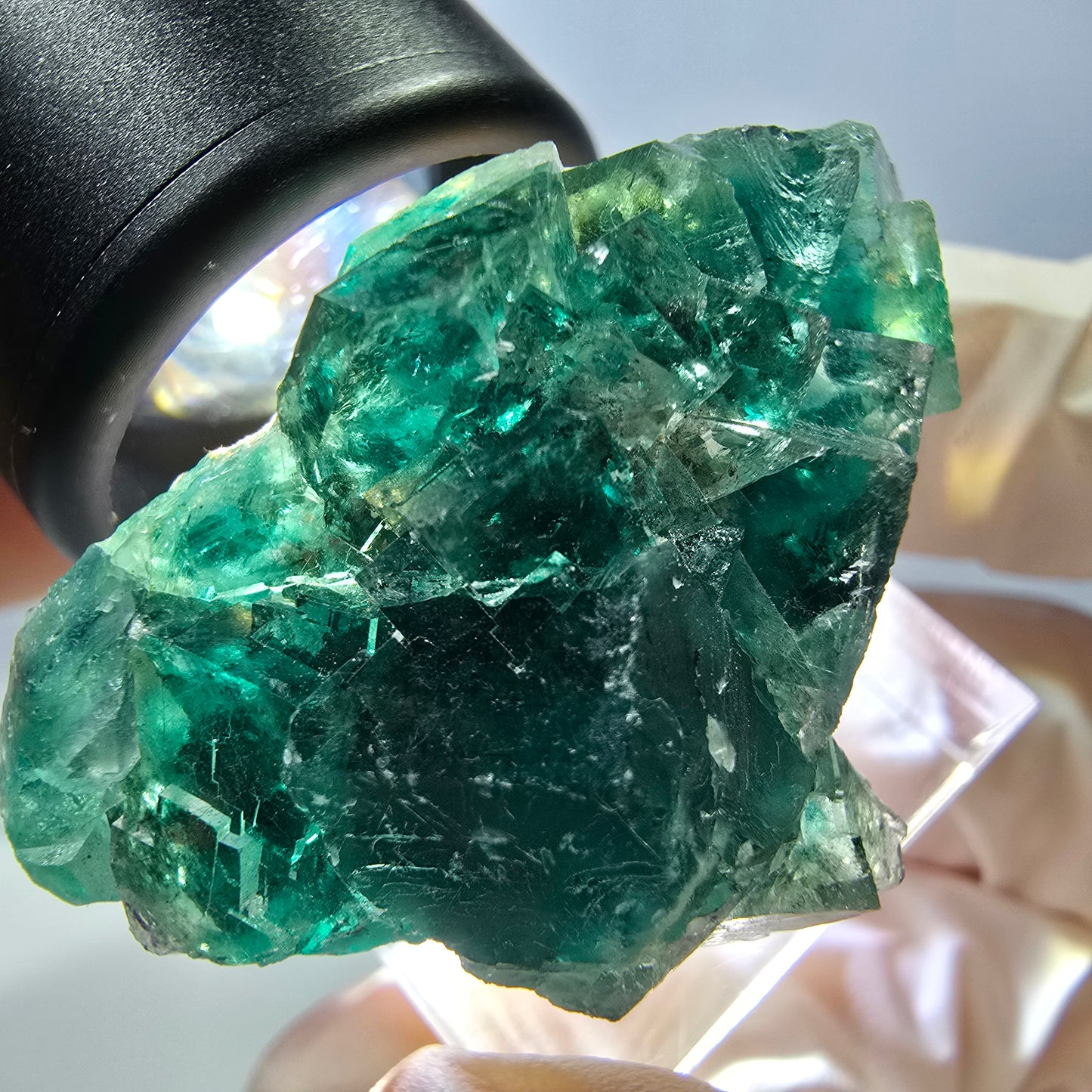 Spécimen de cube de fluorite fantôme, parquet vert Okorusu, Namibie 41 x 26 x 21 mm