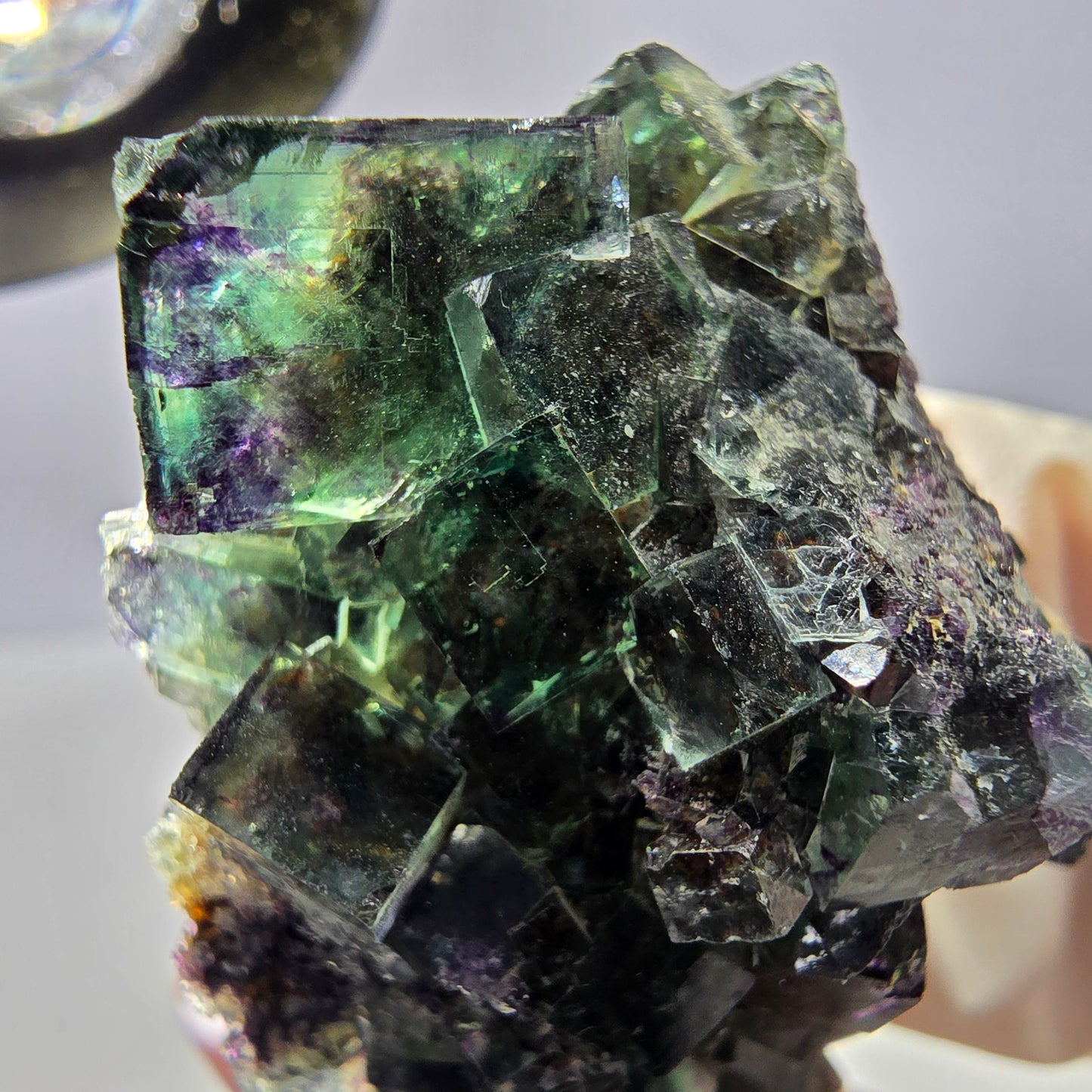 Spécimen de cube de fluorite fantôme parqueté vert violet Okorusu, Namibie 50*34*31mm