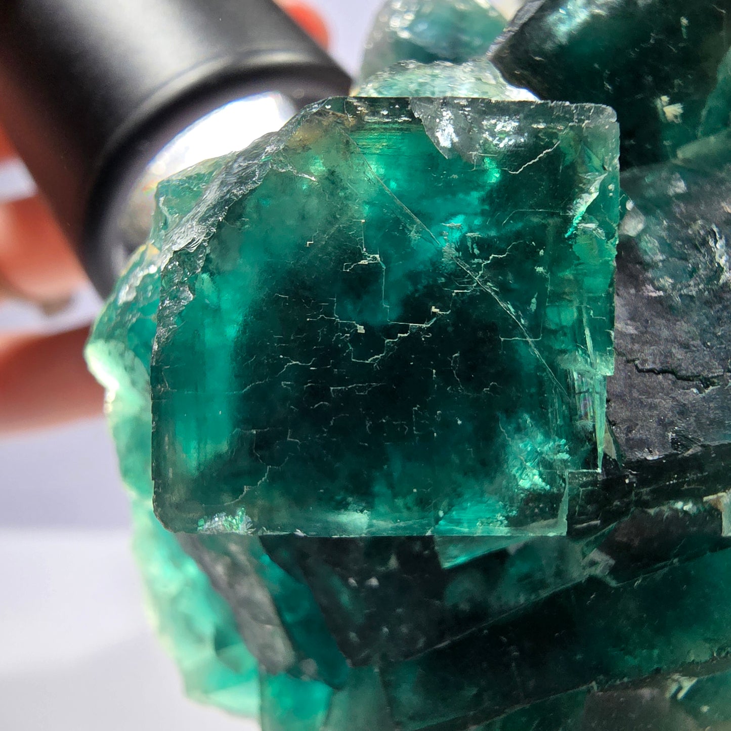 Rare spécimen de cube de fluorite fantôme, parqueté vert Okorusu, Namibie, 60 x 46 x 30 mm
