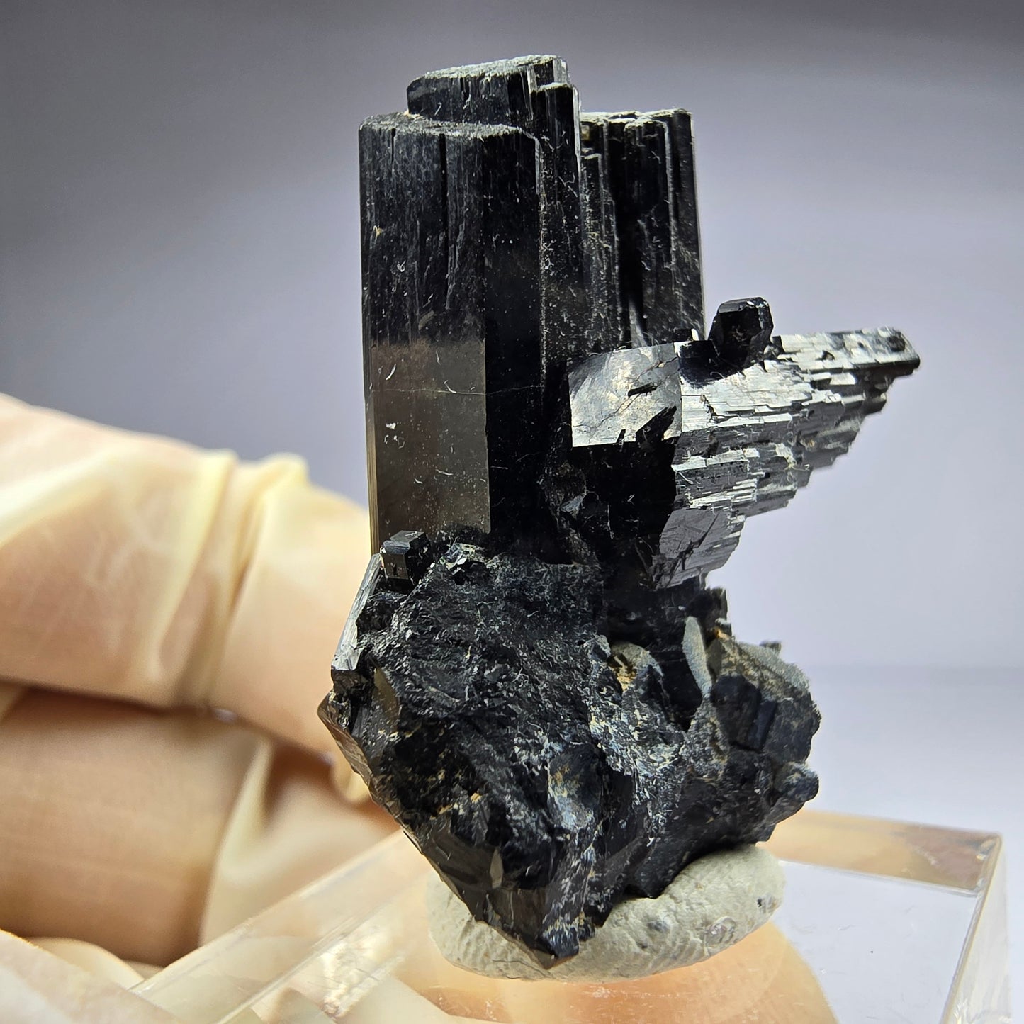 Seltene Schörl Turmalin Stufe schwarz 36*27*20mm Erongo, Namibia Sammlung