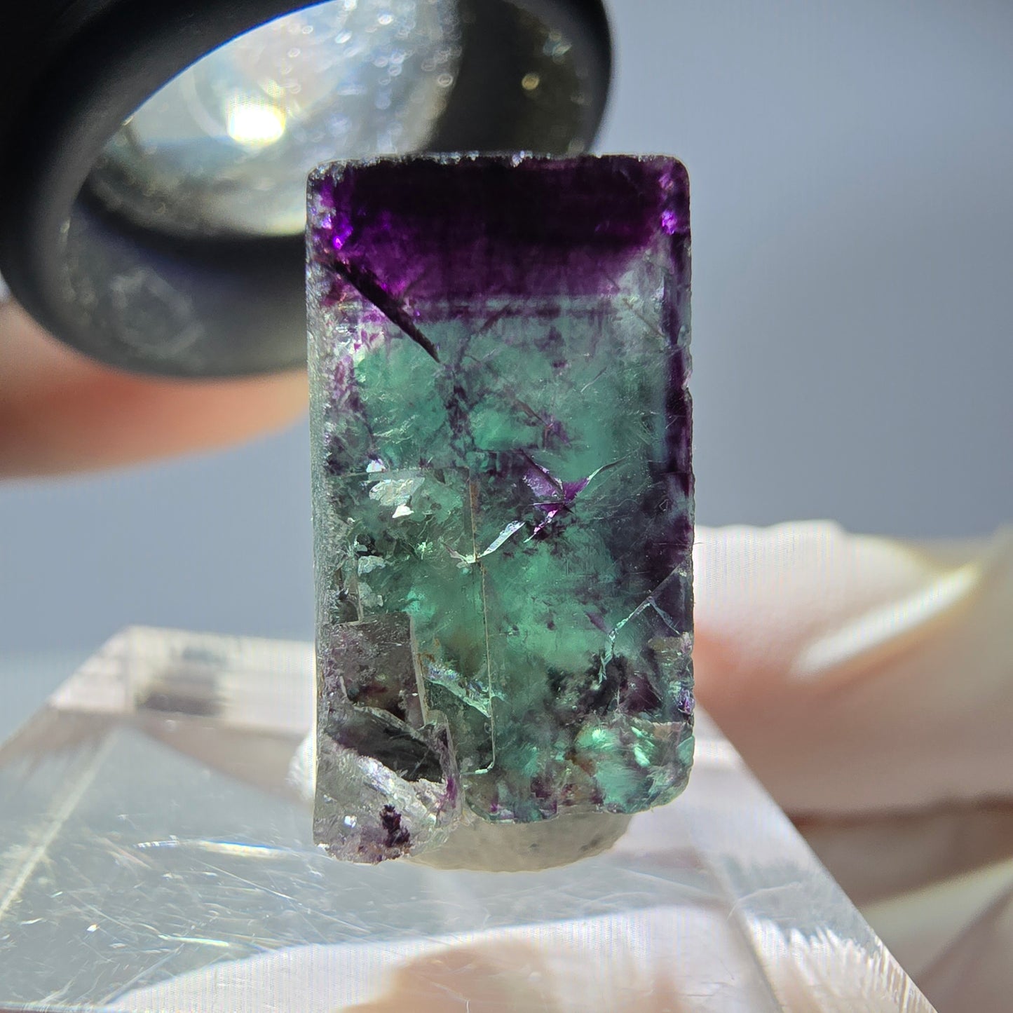 Rare cube de fluorite fantôme parqueté vert violet Okorusu Namibie 24*20*10mm