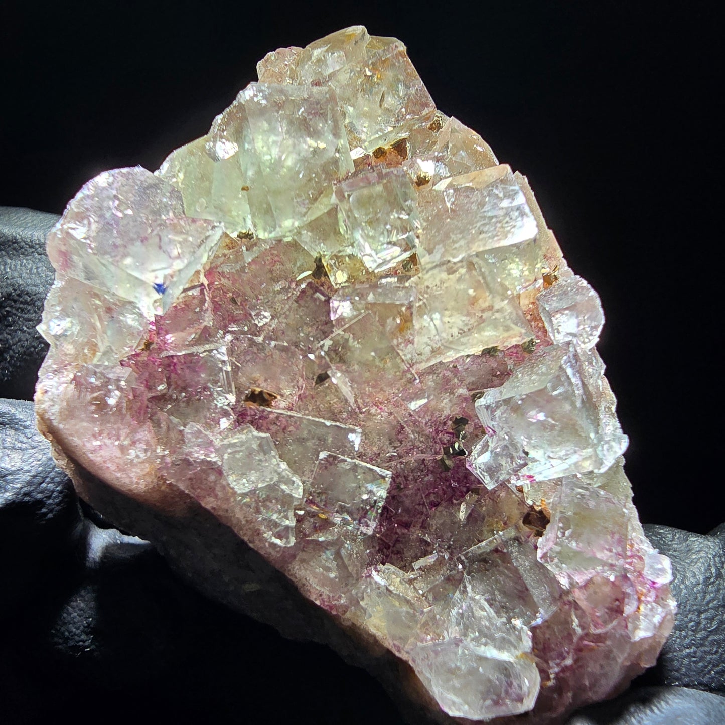 Zonare Fluorite Cube Tier Vert Violet Okorusu, Namibie 52*37*29mm Collection