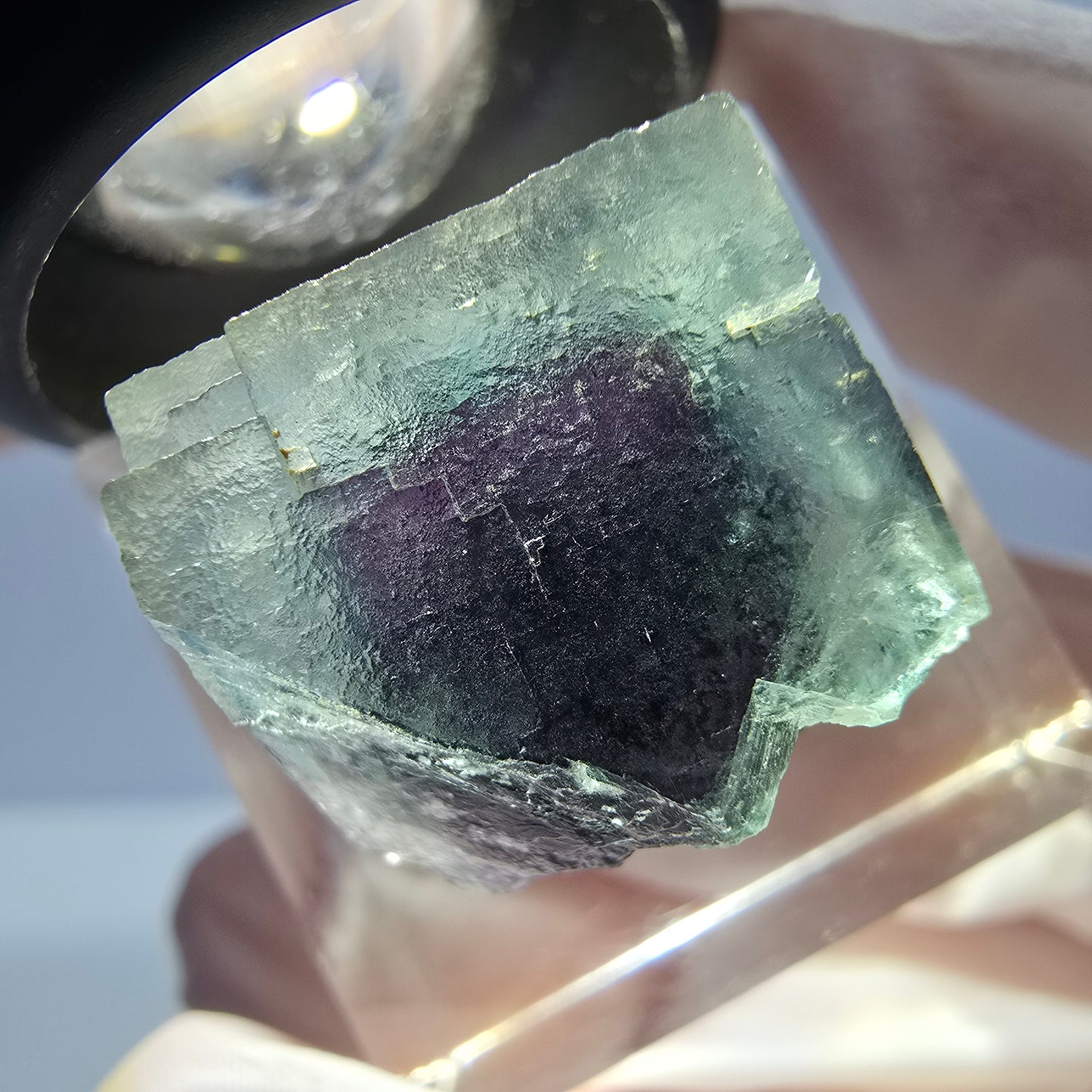 Spécimen de cube de fluorite fantôme, parqueté vert violet Okorusu, Namibie 19 x 18 x 15 mm