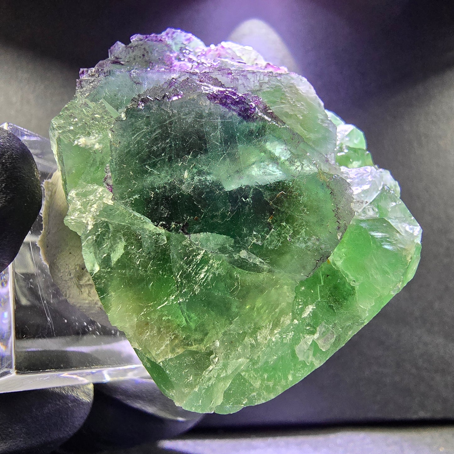 Rare zonar Phantom Fluorite XX stade vert violet 45*39*21mm Okorusu, Namibie