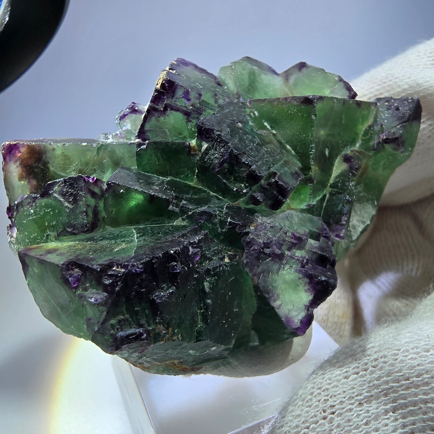 Seltene Phantom Fluorit Würfel Stufe zonal grün lila Okorusu, Namibia 61*41*27mm