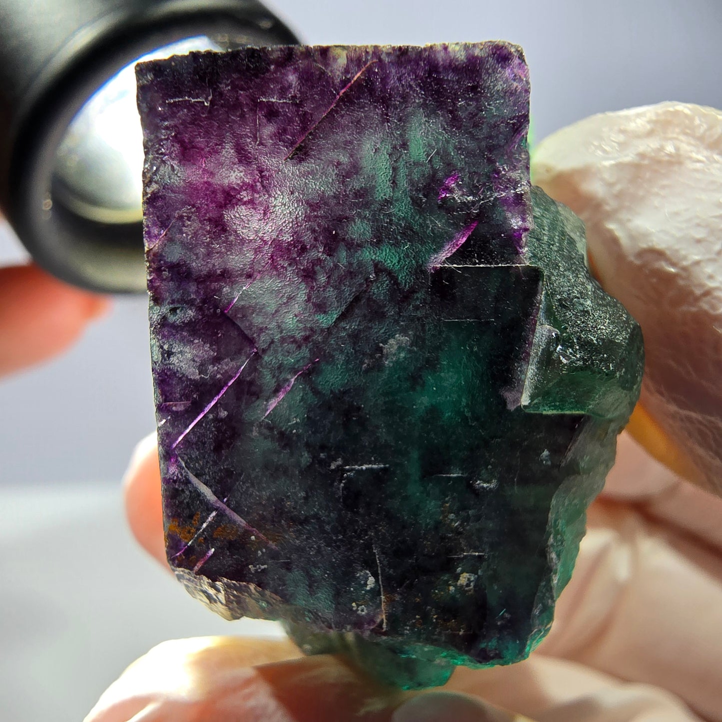 Spécimen de cube de fluorite fantôme, parqueté vert violet Okorusu, Namibie 37*31*25 mm