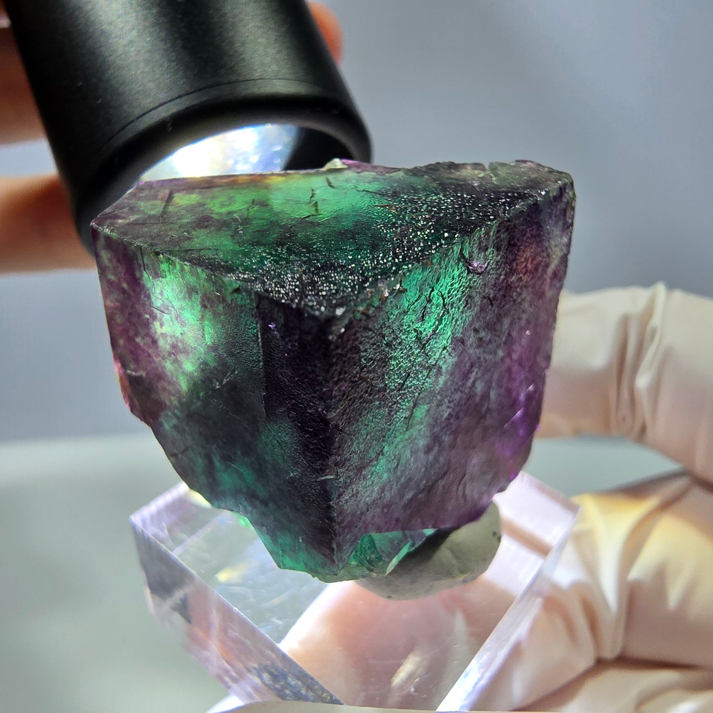 Rare cube de fluorite fantôme parqueté vert violet Okorusu Namibie 29*29*28mm