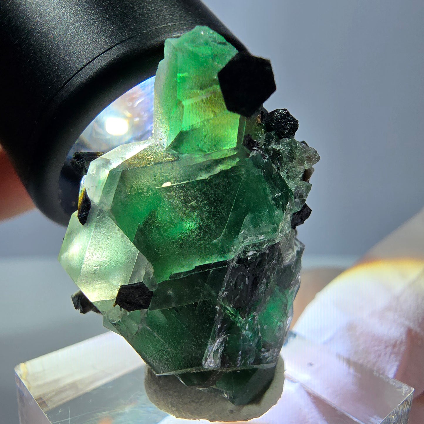 Cube hexagonal de fluorite fantôme, spécimen de tourmaline Schorl, Erongo, Namibie, 30 x 25 x 13 mm