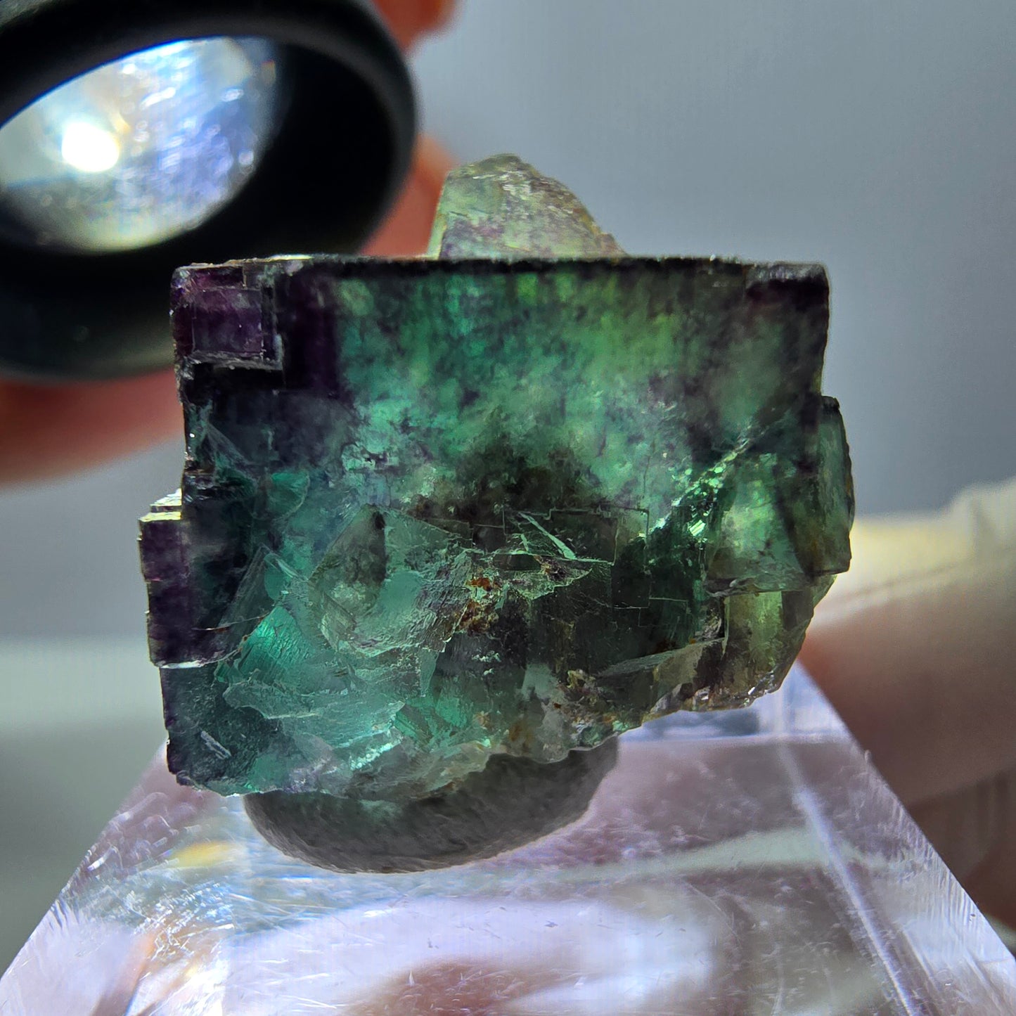 Phantom Fluorit Würfel Stufe, parkettiert, zonal Okorusu, Namibia 23*22*20mm