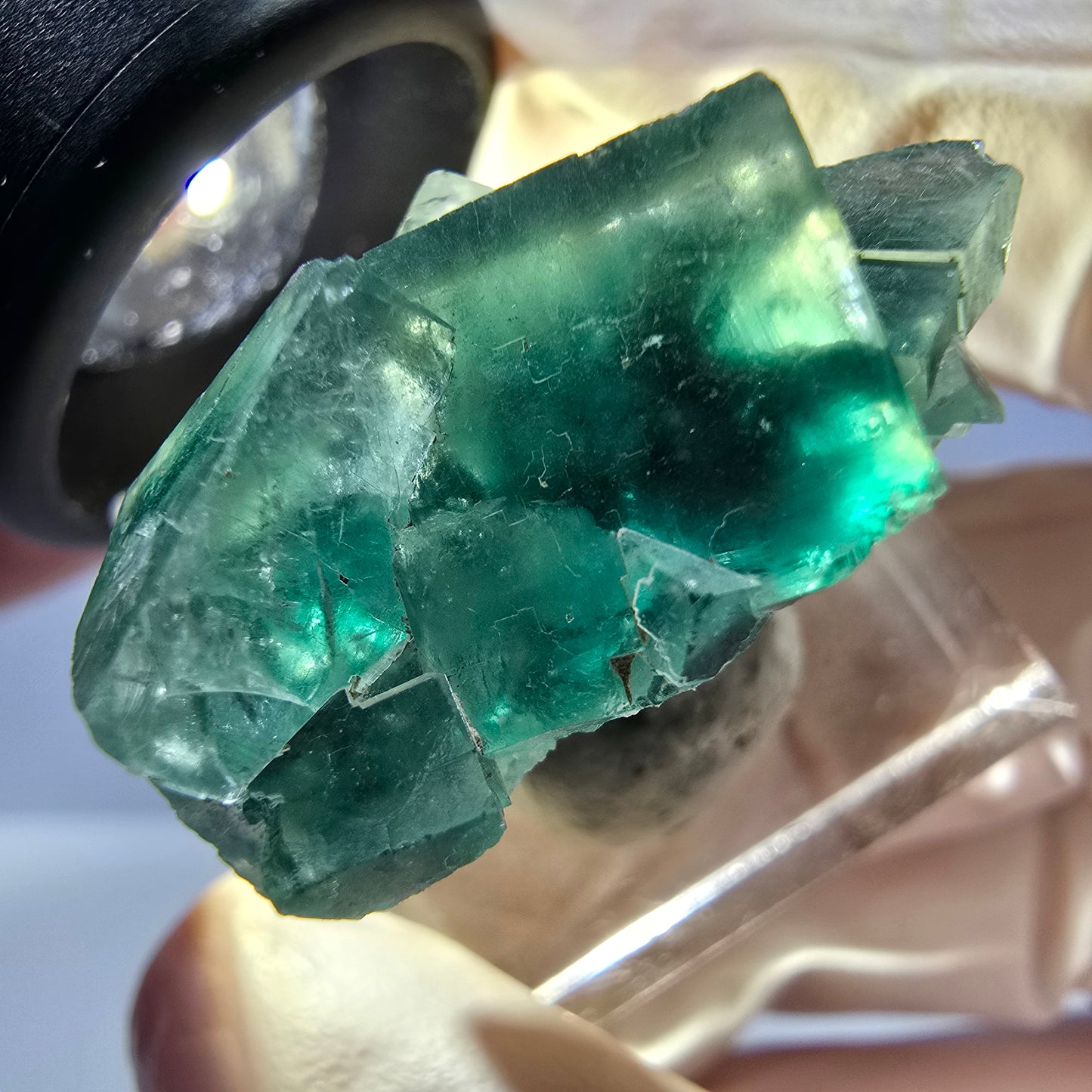 Seltene Phantom Fluorit Würfel Stufe, grün Okorusu, Namibia 26*23*16mm