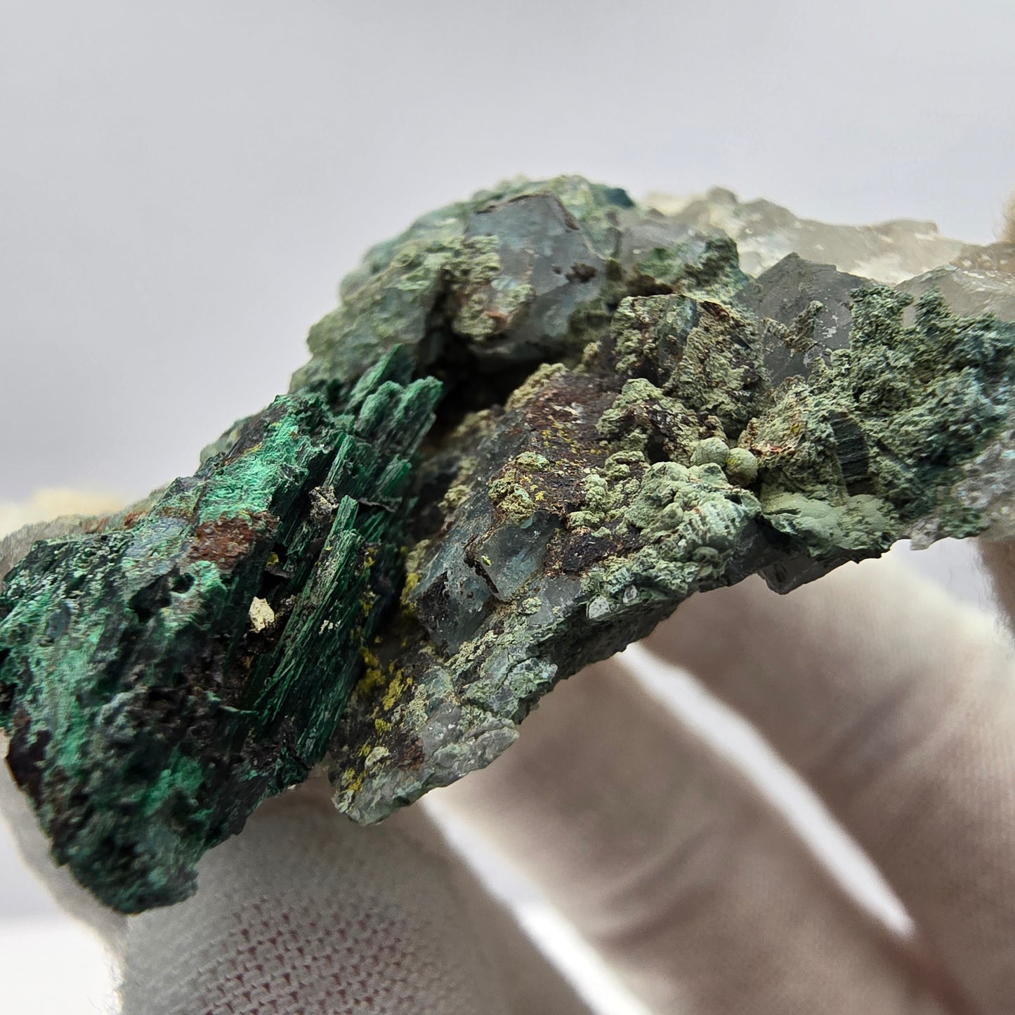 Spécimen rare de malachite, chrysocolle sur quartz Kaokoveld, Namibie 56*45*18mm