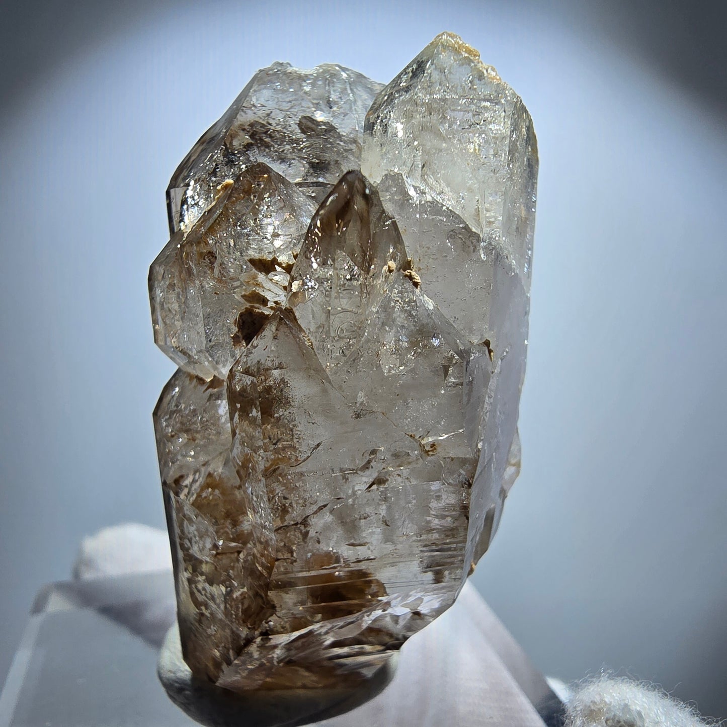 Phantom Rauchquarz DT Fenster Zepter Kristall Goboboseb, Namibia 54*27*27mm