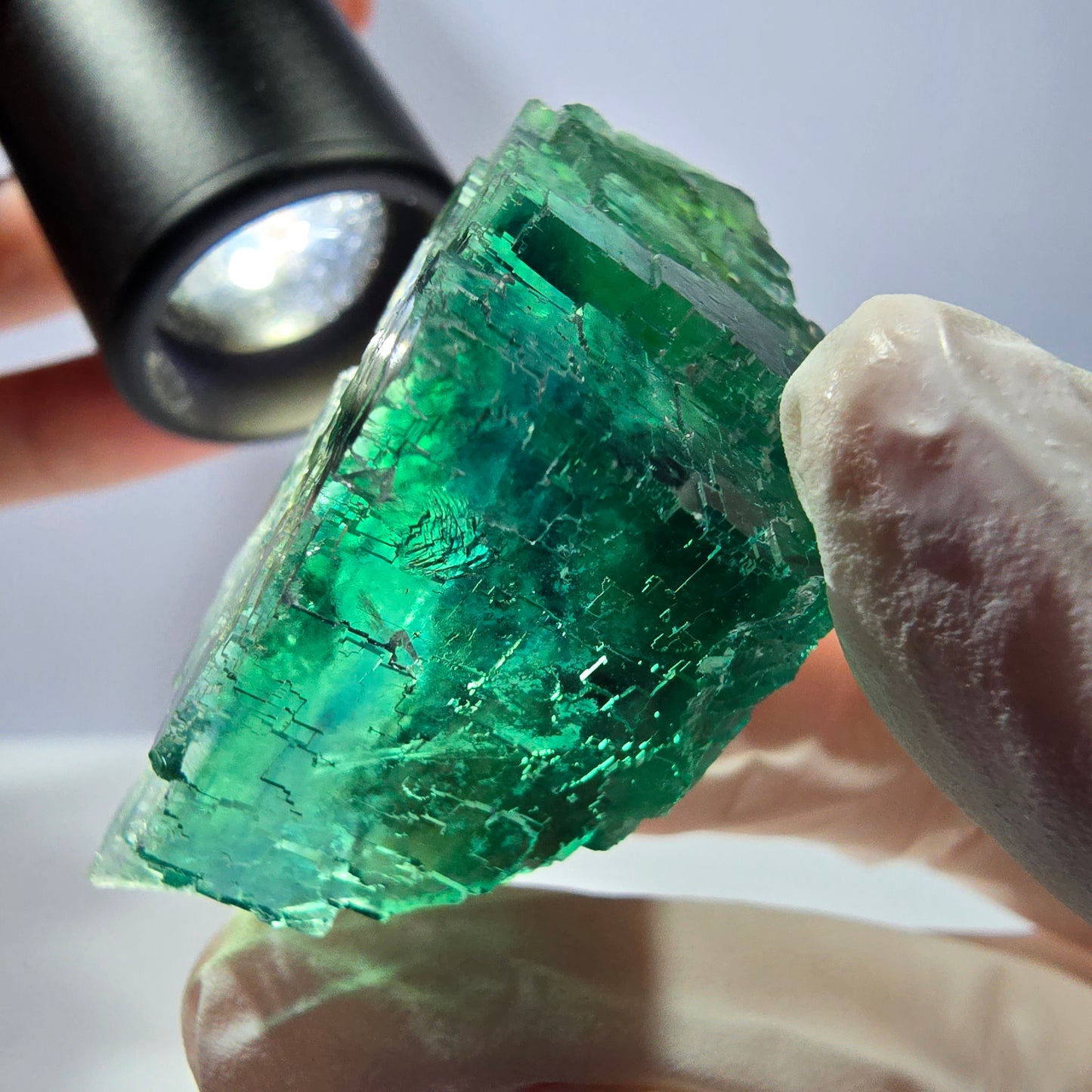 Spécimen de cube de fluorite fantôme transparente, vert parqueté, Okorusu, Namibie, 50 x 30 x 22 mm