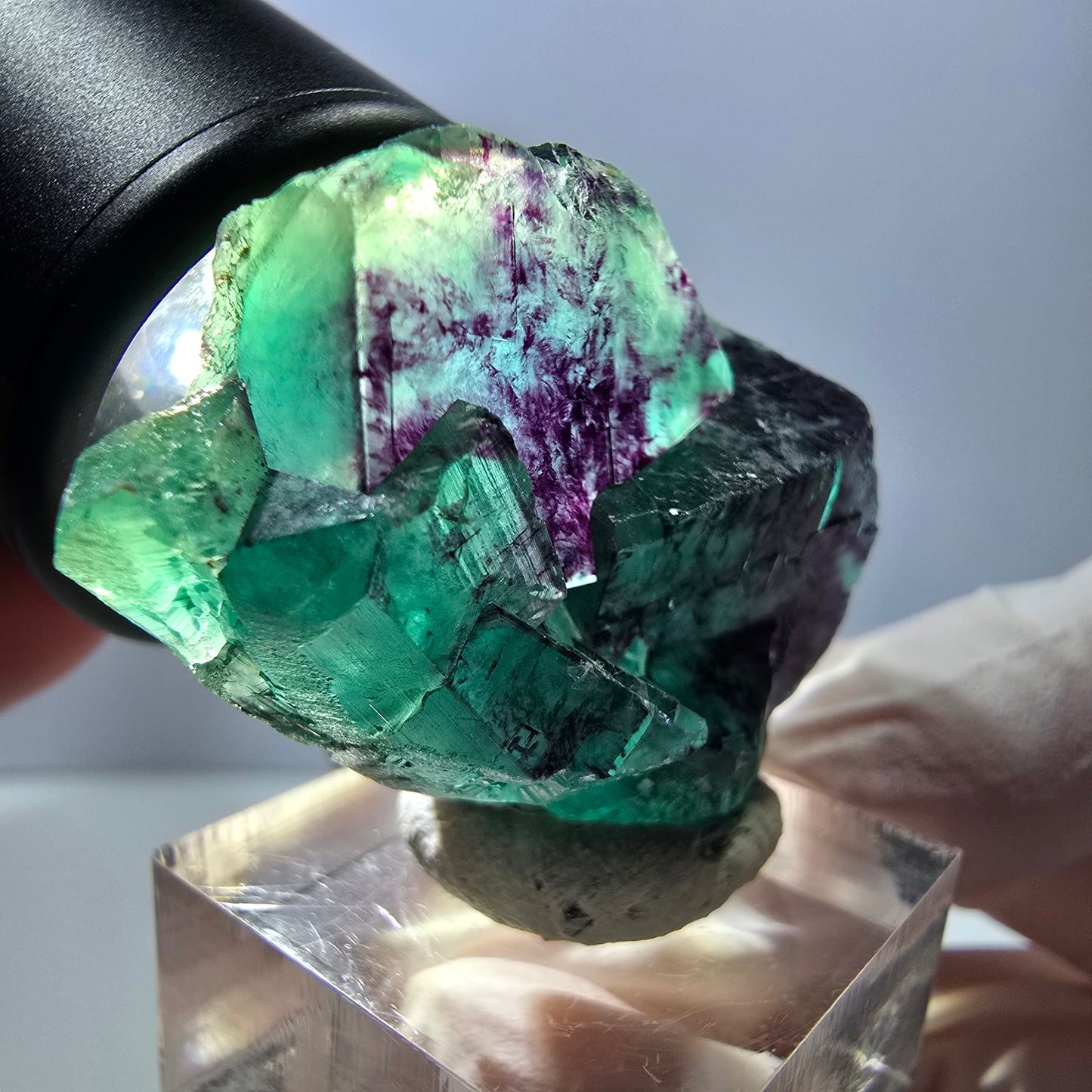 Spécimen de cube de fluorite fantôme, parqueté vert violet Okorusu, Namibie 40*31*20 mm