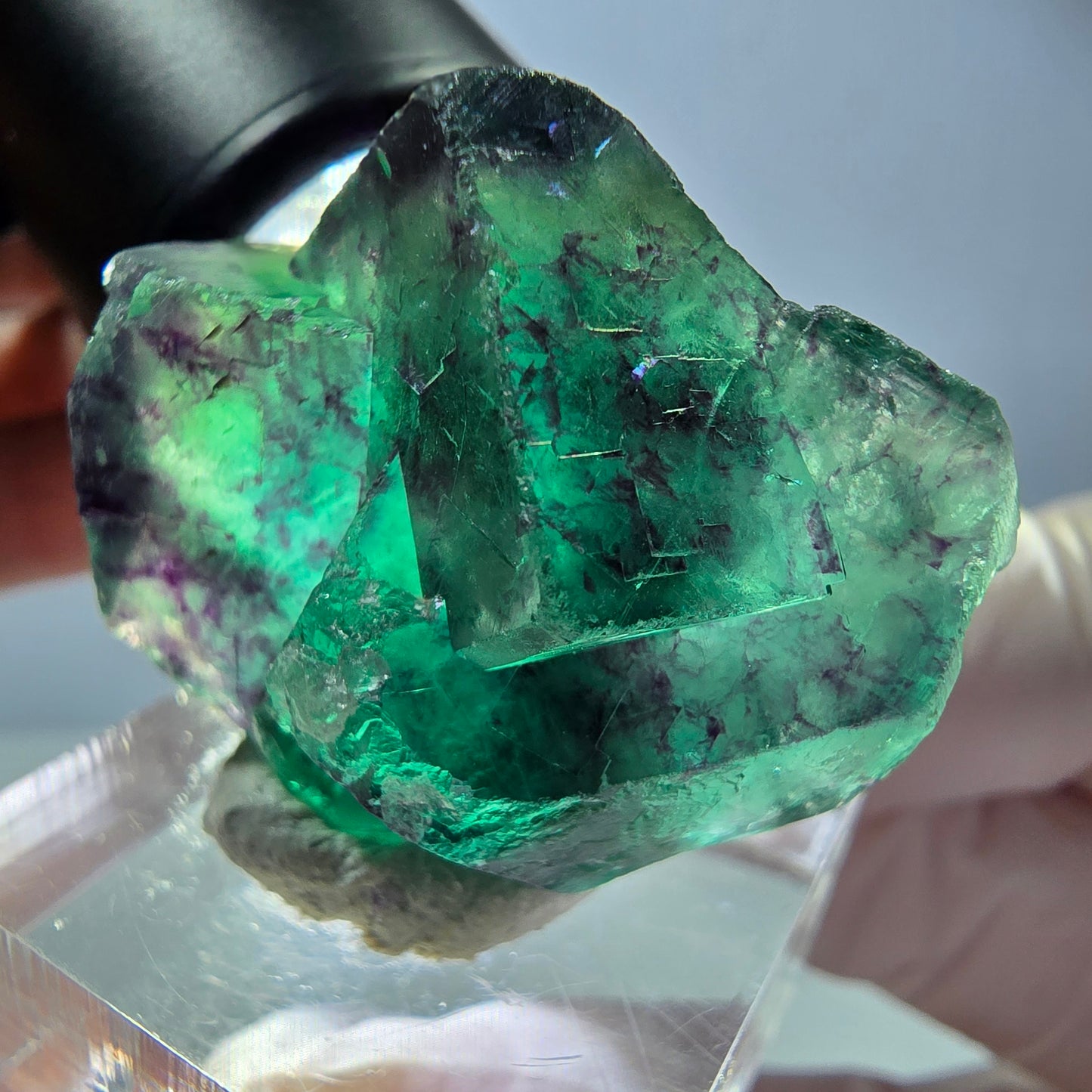 Phantom Fluorit Würfel Stufe, parkettiert grün lila Okorusu, Namibia 37*27*19mm