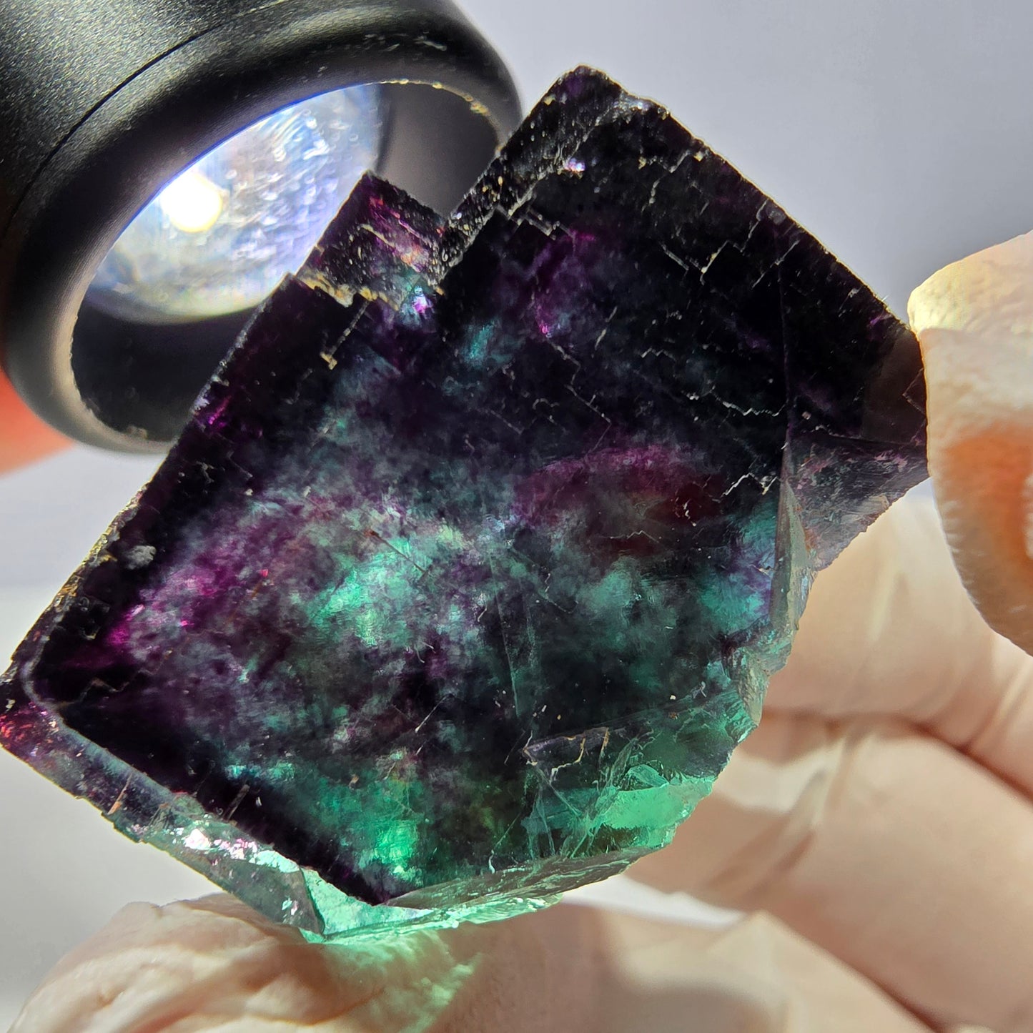 Spécimen de cube de fluorite fantôme, parqueté vert violet Okorusu, Namibie 31*30*20 mm