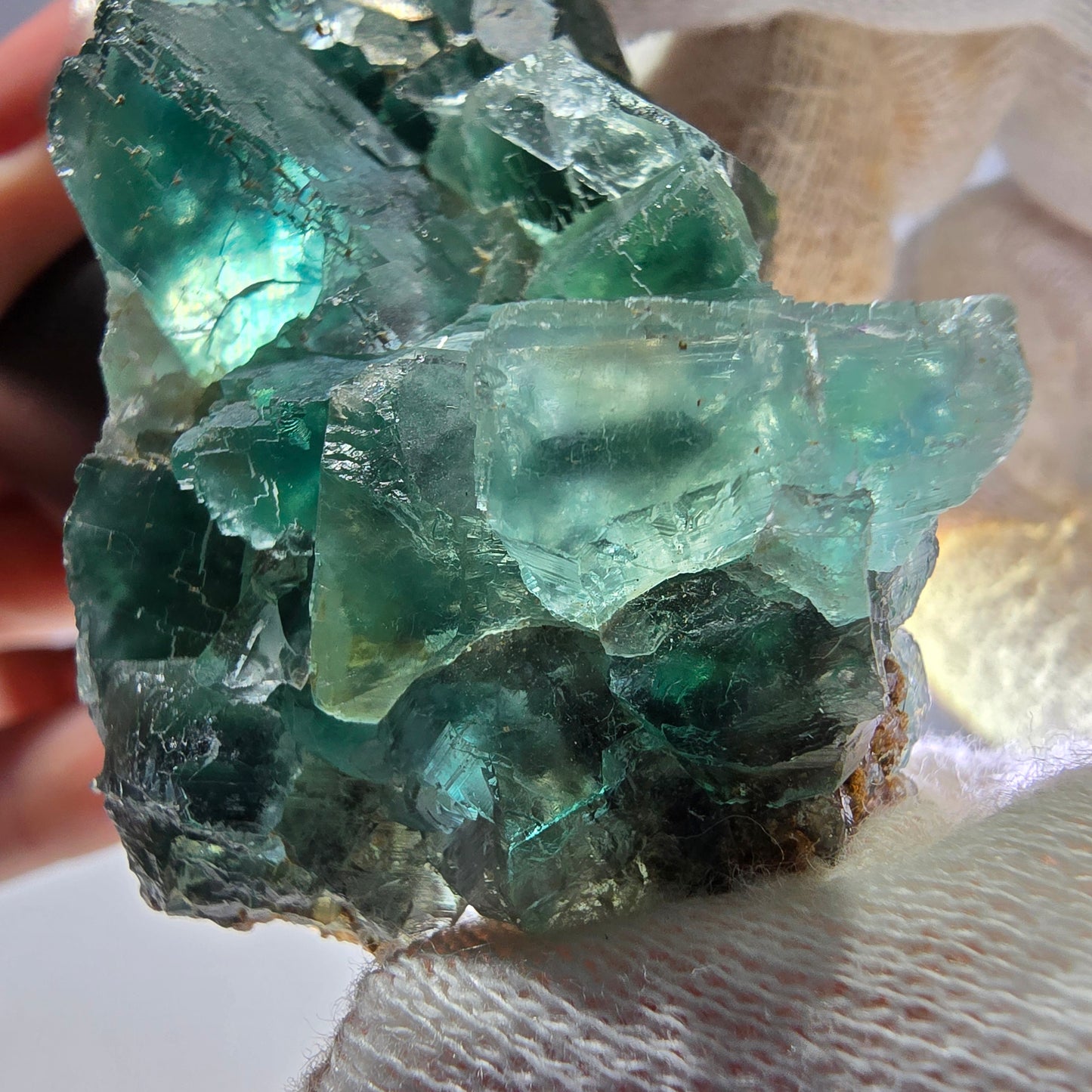 Rare spécimen de cube de fluorite fantôme, parqueté vert Okorusu, Namibie, 59 x 36 x 22 mm