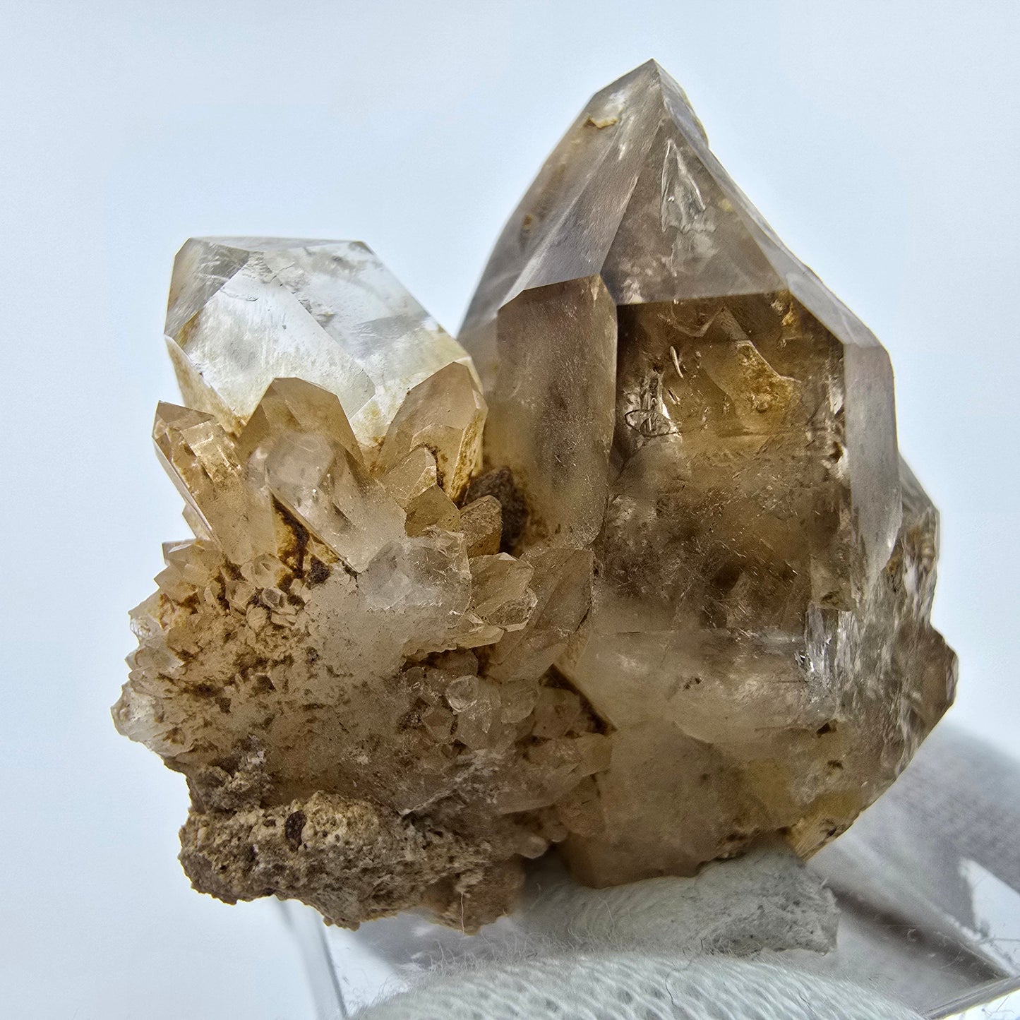 Phantom Rauchquarz DT Fenster Zepter Stufe Goboboseb, Namibia 37*35*27mm