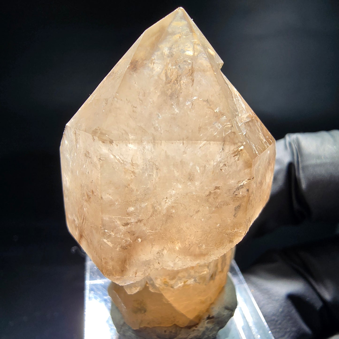 Schöne Phantom Rauchquarz Zepter Spitze Erongo, Namibia 44*31*26mm Sammlung
