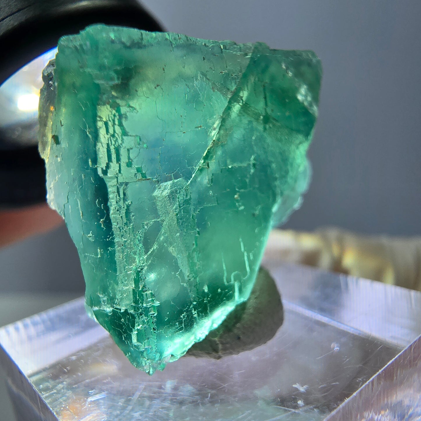 Cube de fluorite fantôme transparente parquetée, vert Okorusu, Namibie 28 x 21 x 10 mm