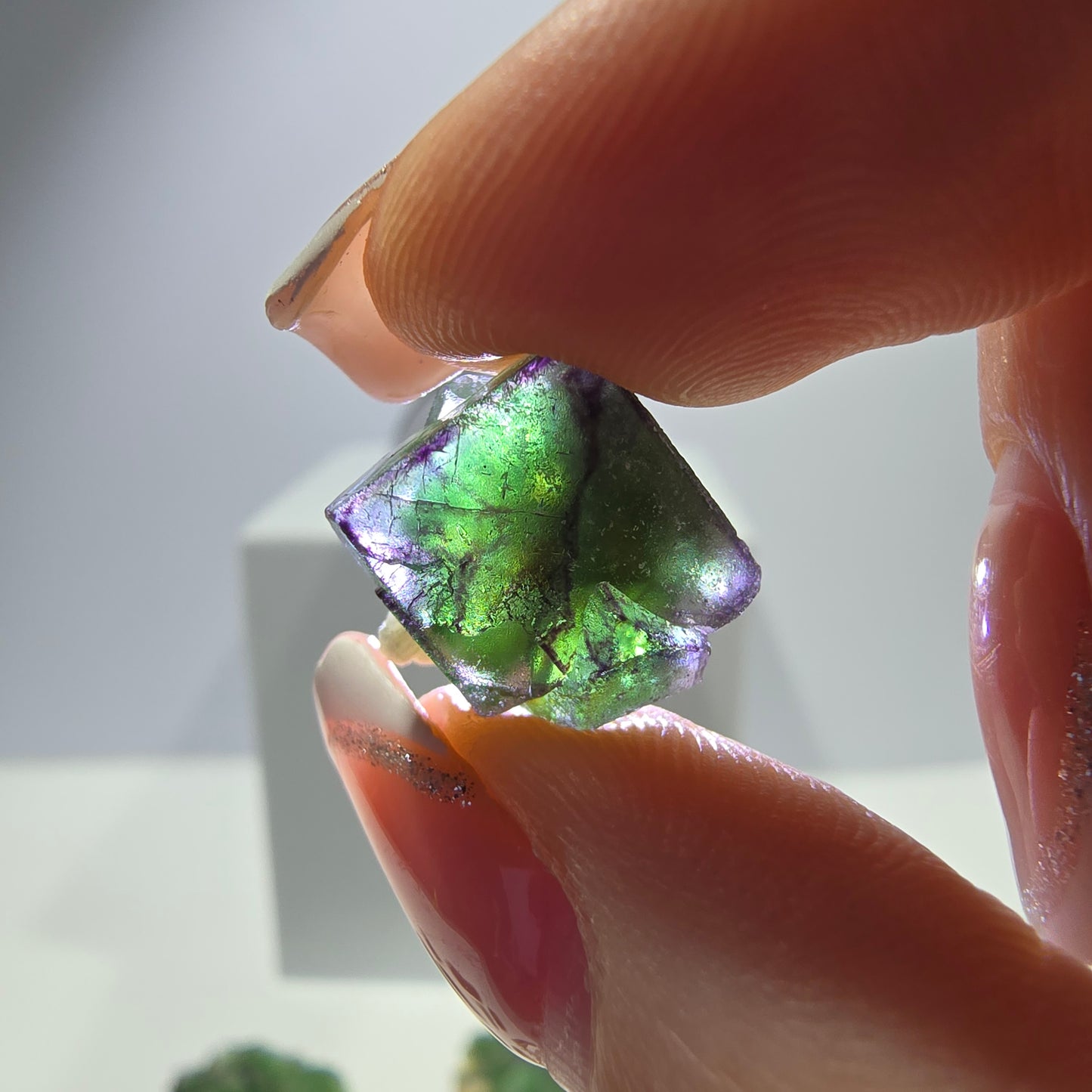 Lot de 16 Fluorite Fantôme, Hyalite Tourmaline Schörl Moscovite Steps Erongo, Namibie