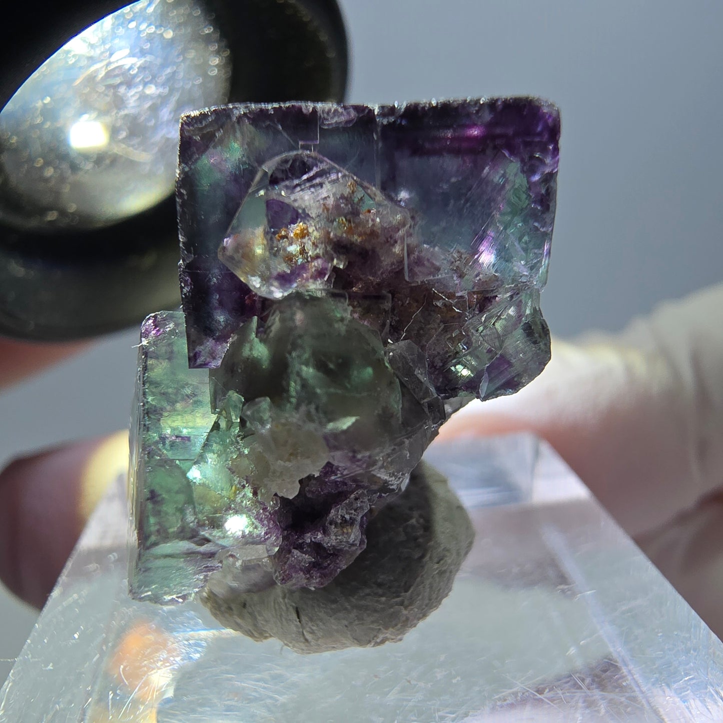 Spécimen de cube de fluorite fantôme, parqueté vert violet Okorusu, Namibie 25*19*15 mm
