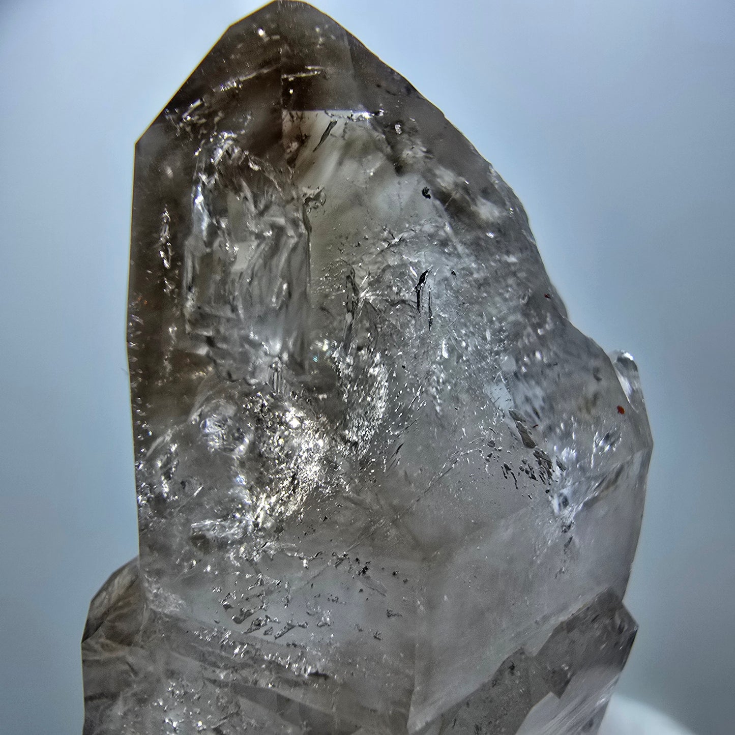 Klarer Phantom Rauchquarz DT Zepter Kristall Goboboseb, Namibia 52*26*22mm