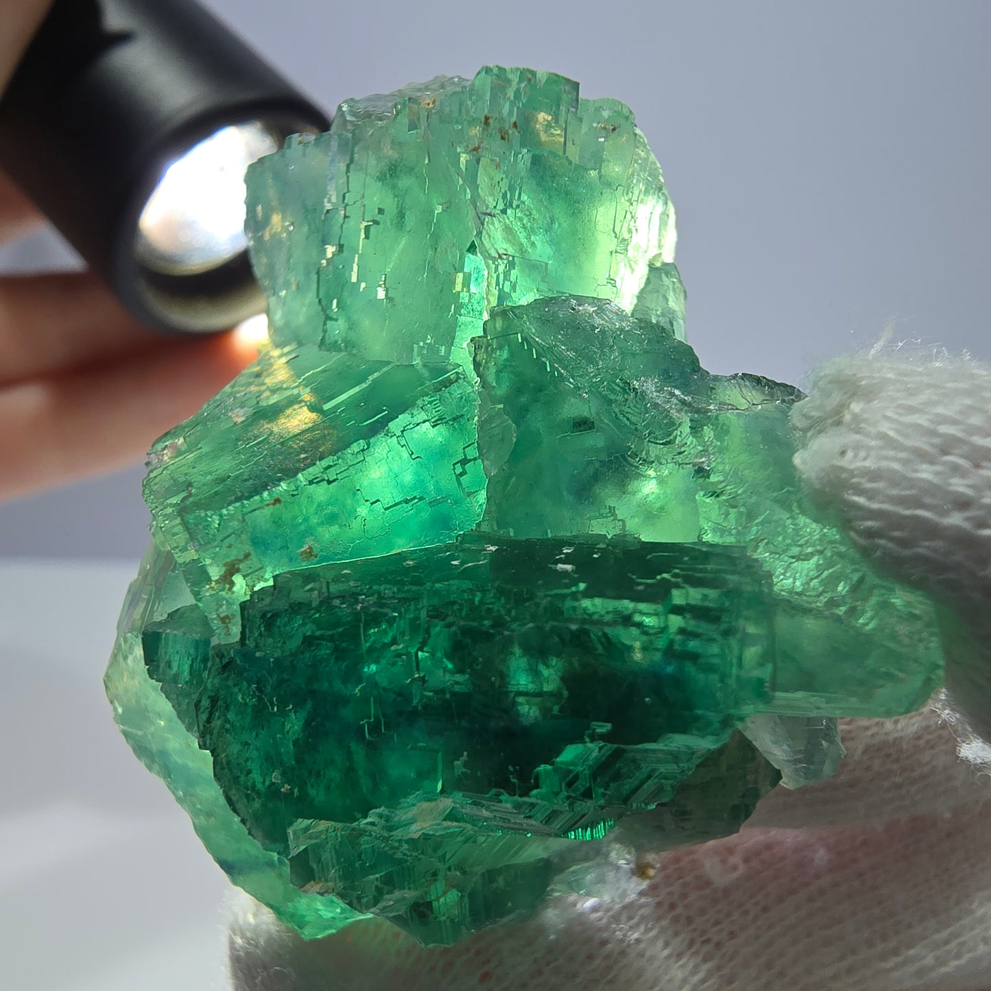 Rare spécimen de cube de fluorite fantôme, parqueté vert Okorusu, Namibie, 47 x 42 x 25 mm