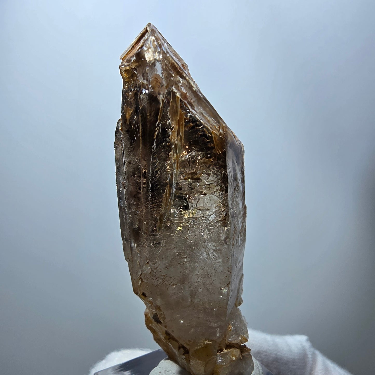 Enhydro Phantom Rauchquarz Fenster Zepter, 3x Blase Goboboseb Namibia 60*22*17mm